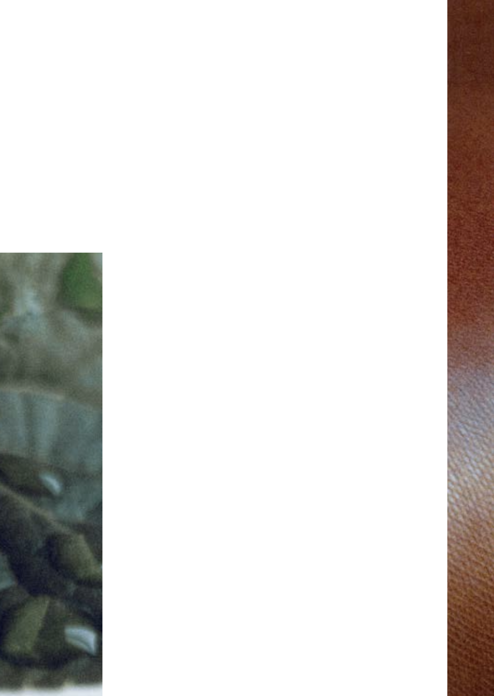 Capture d’écran 2023-10-25 à 11.59.29.png