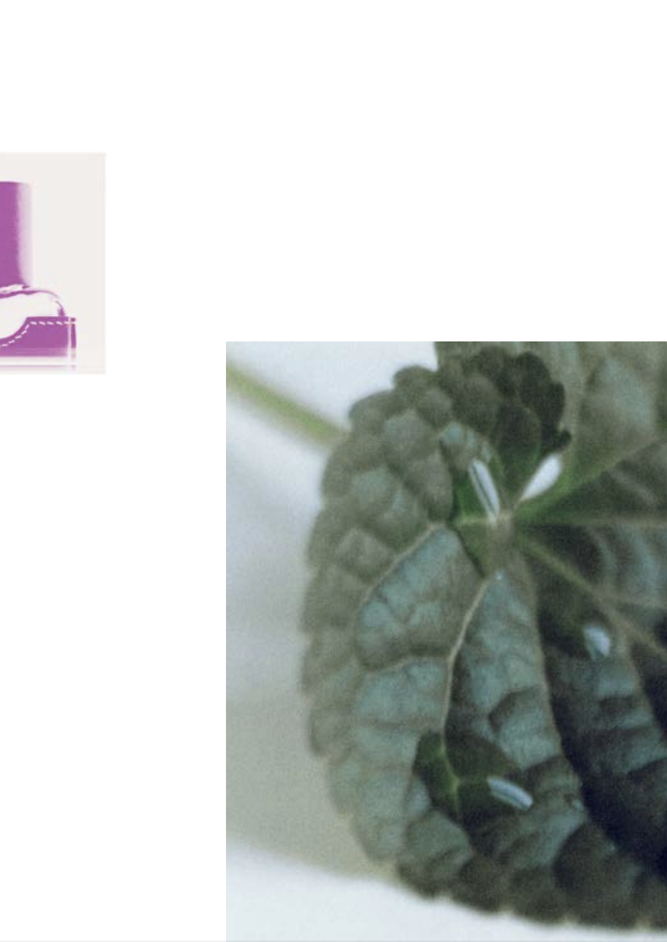 Capture d’écran 2023-10-25 à 11.59.22.png