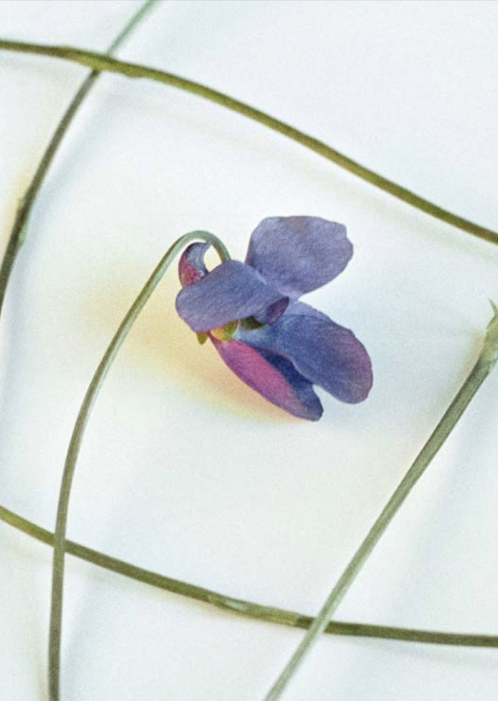 Capture d’écran 2023-10-25 à 11.59.04.png