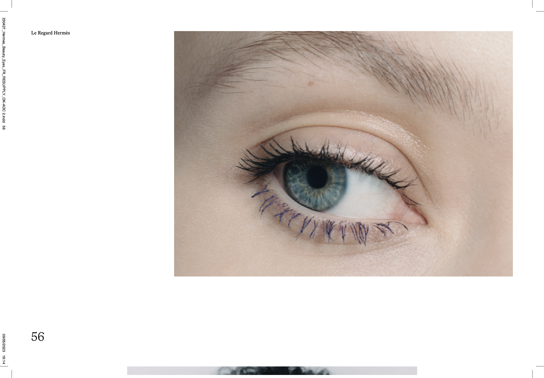 Capture d’écran 2023-10-25 à 12.25.21.png