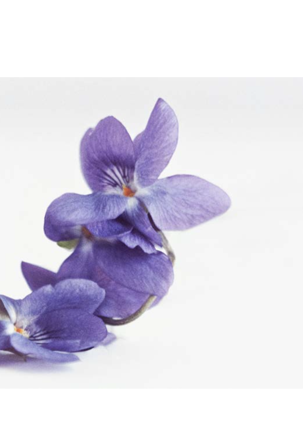 Capture d’écran 2023-10-25 à 12.00.01.png