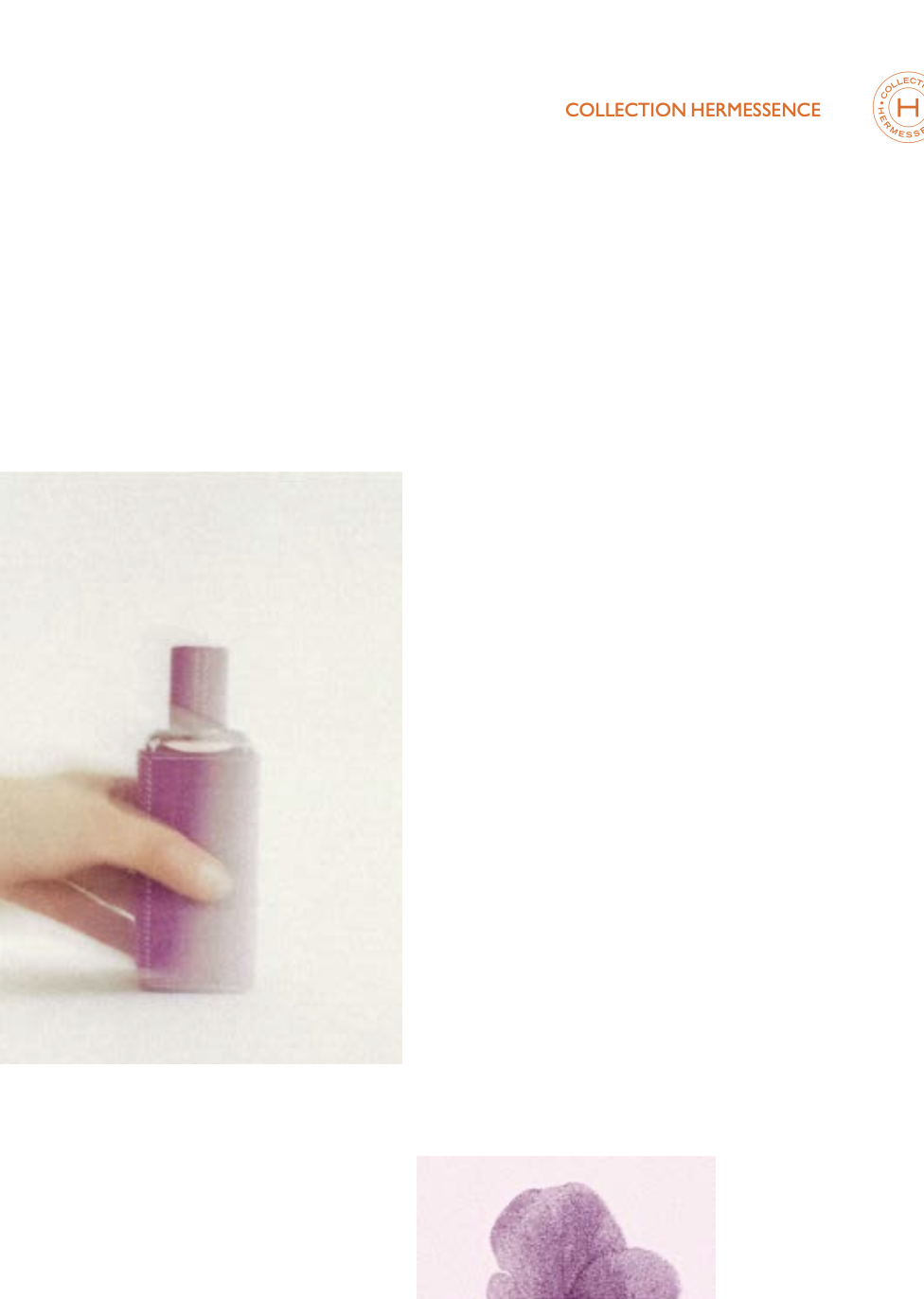 Capture d’écran 2023-10-25 à 11.58.47.png