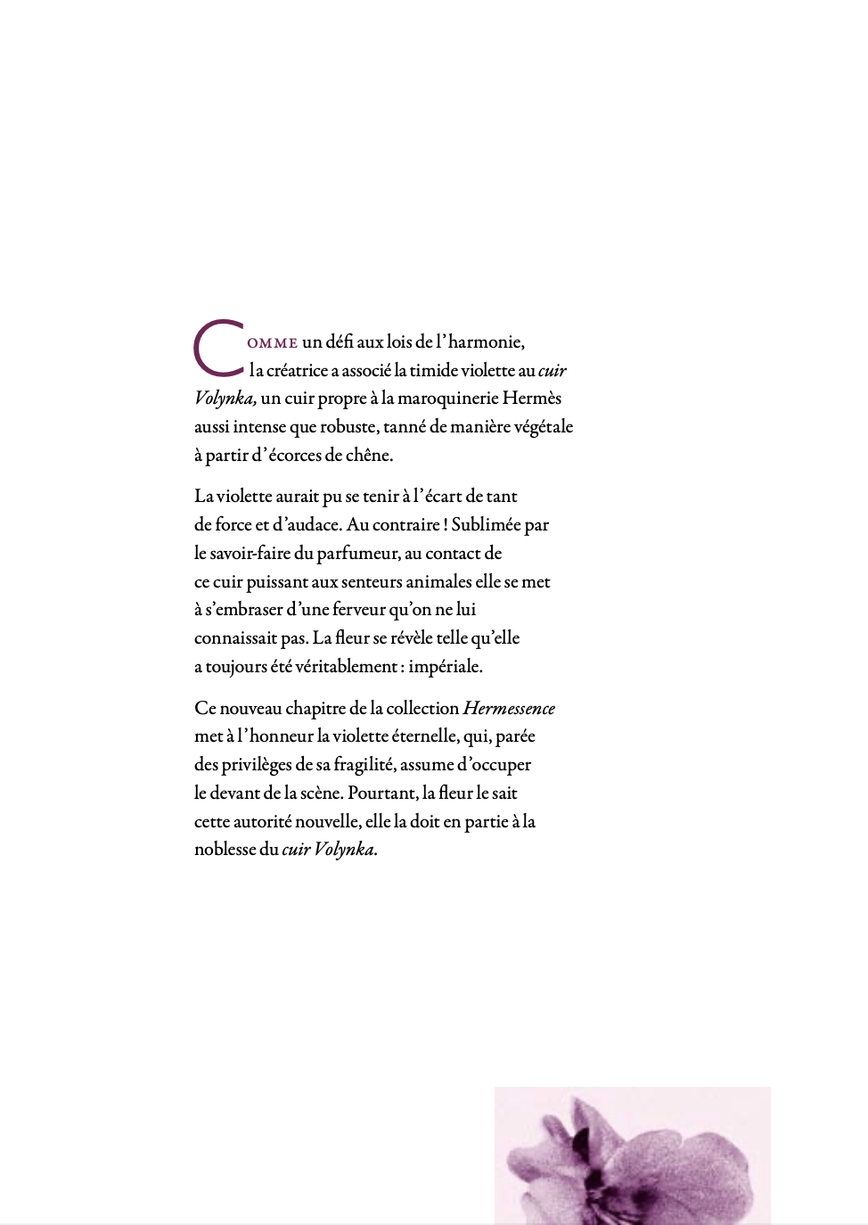 Capture d’écran 2023-10-25 à 11.59.44.png