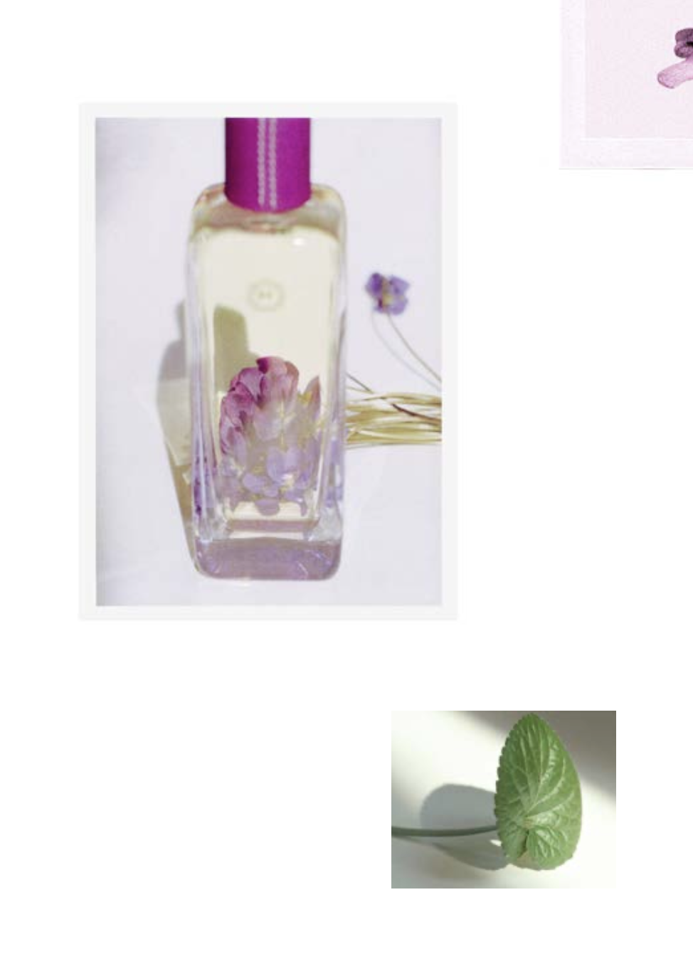 Capture d’écran 2023-10-25 à 12.00.14.png