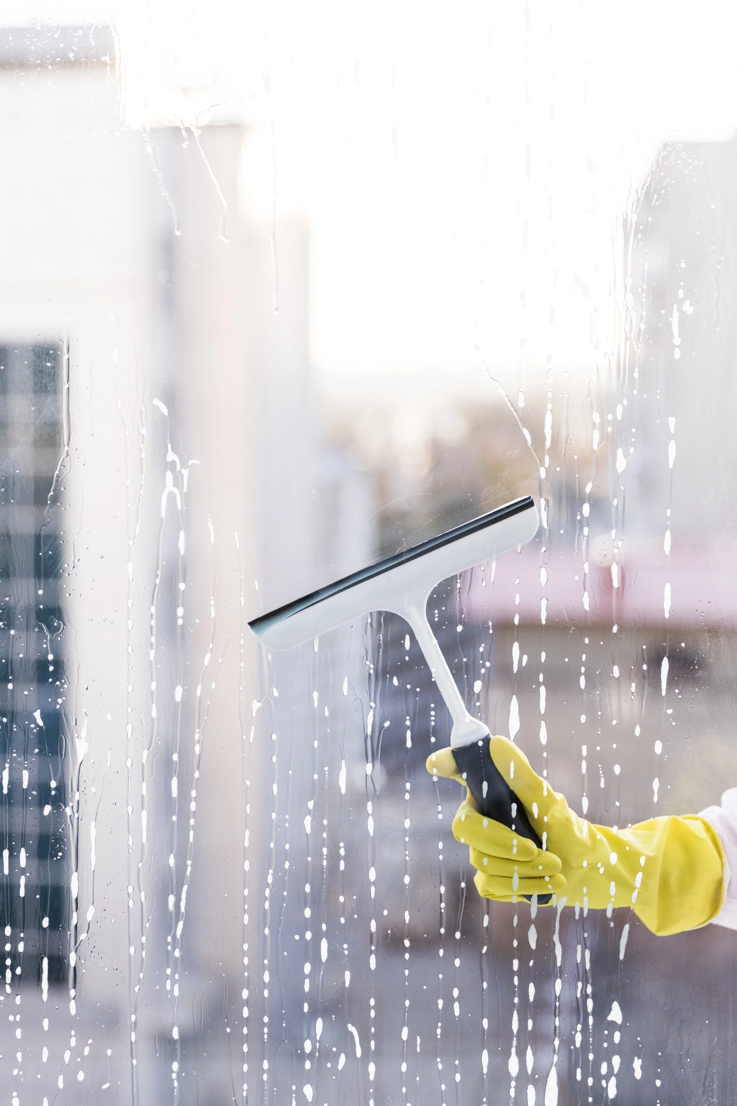 Spring Cleaning Guide