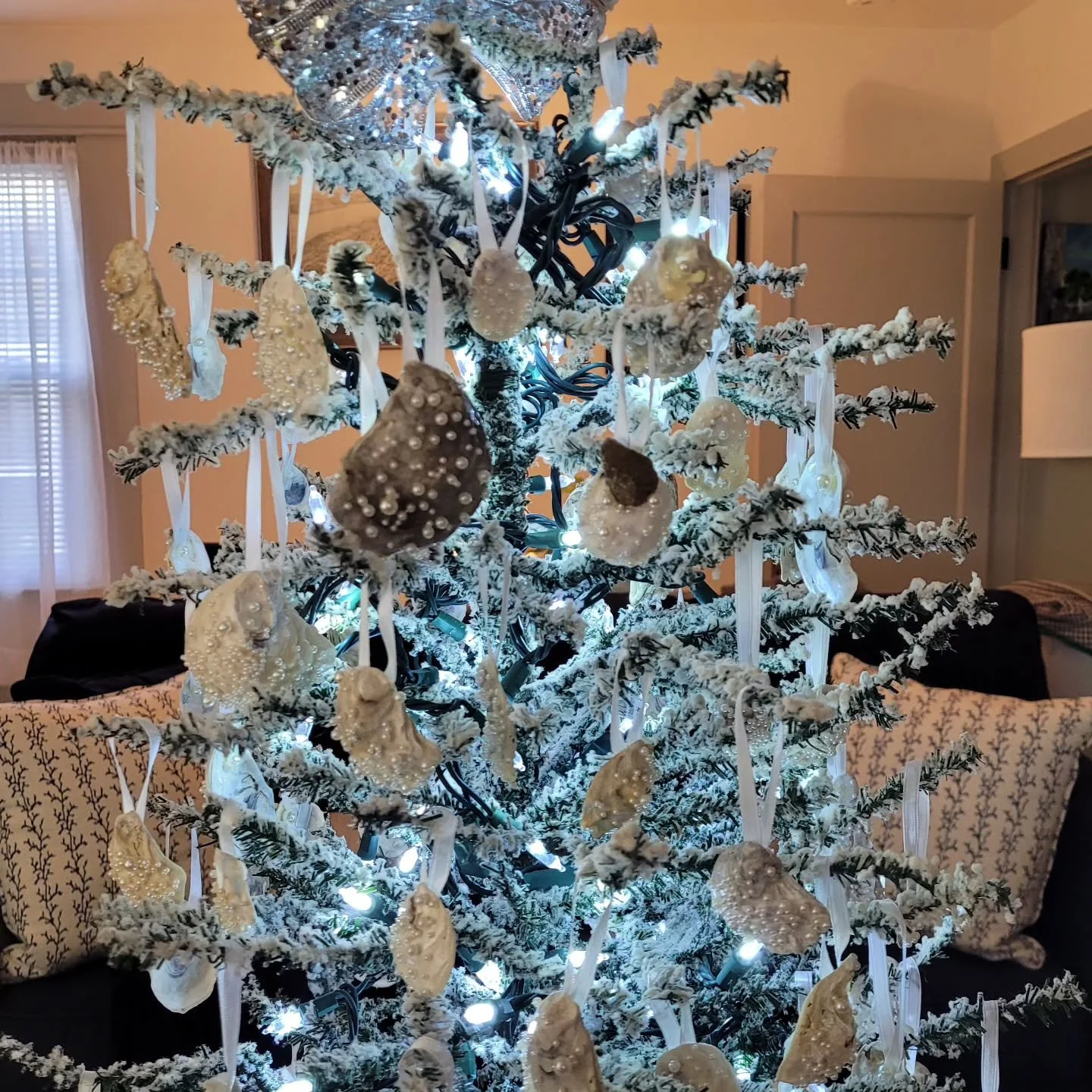 Wishing everyone a very Merry Christmas and a Happy New Year!! 

I will start posting updates in March for the upcoming season!

For the coming months, I am going to spend some time traveling around New England and focus on bringing new and exciting 