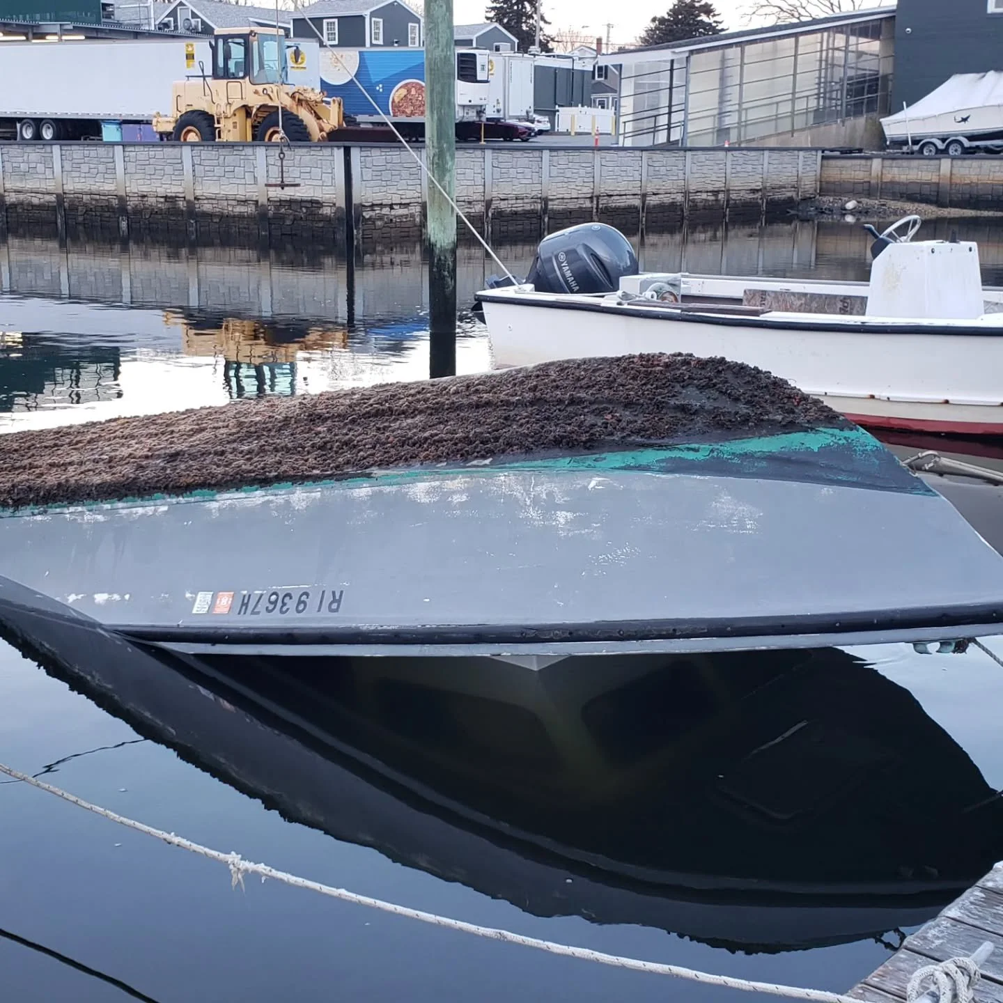This is why hauling your boat out when not in use for long periods is very important,  especially in the winter! There is a third boat that is on its side completely submerged...very sad sights to see!

#warrenriver #Warren #boatsinking
