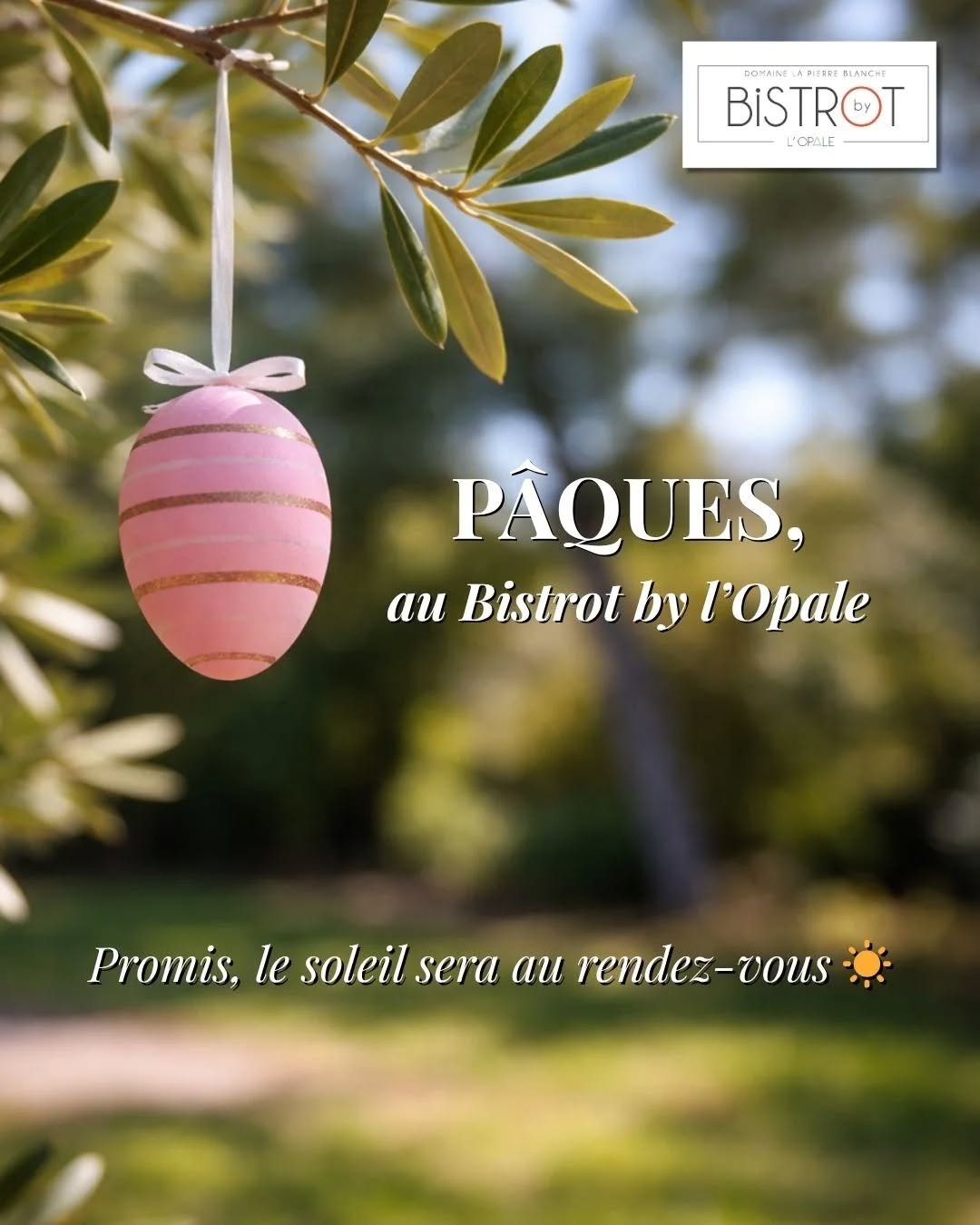 P&acirc;ques approche !&nbsp;🐣
Lundi 6 avril, rejoignez-nous pour un d&eacute;jeuner de P&acirc;ques autour d&rsquo;un menu printanier et gourmand sign&eacute; @serradimigniromain 

⏳&nbsp;Derni&egrave;res disponibilit&eacute;s, r&eacute;servation c