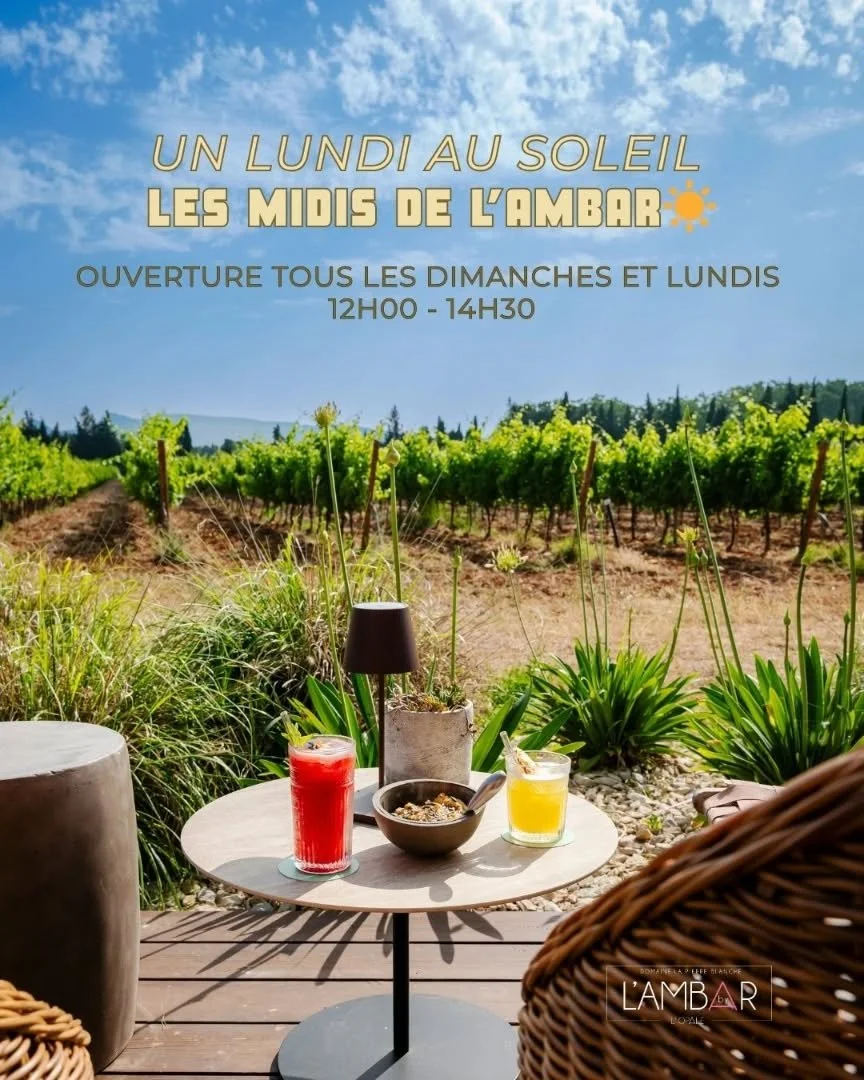 ☀️ Du soleil, des vignes, des tapas &agrave; partager&hellip; bon lundi &agrave; tous ✨

Retrouvez-nous pour un d&eacute;jeuner ensoleill&eacute; tous les dimanches et lundis de 12h00 &agrave; 14h00 🌿

L&rsquo;Ambar, c&rsquo;est aussi les Golden Ap&