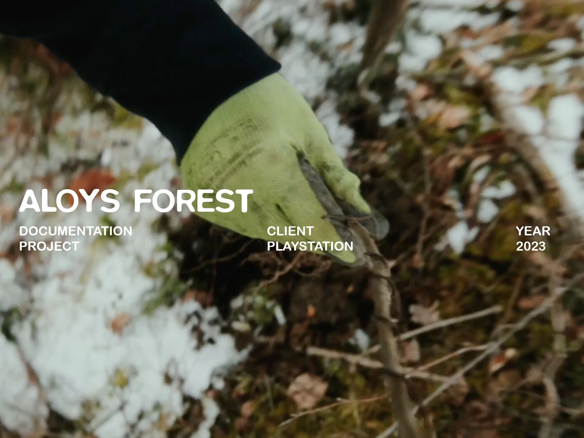 PLAYSTATION - ALOYS FOREST