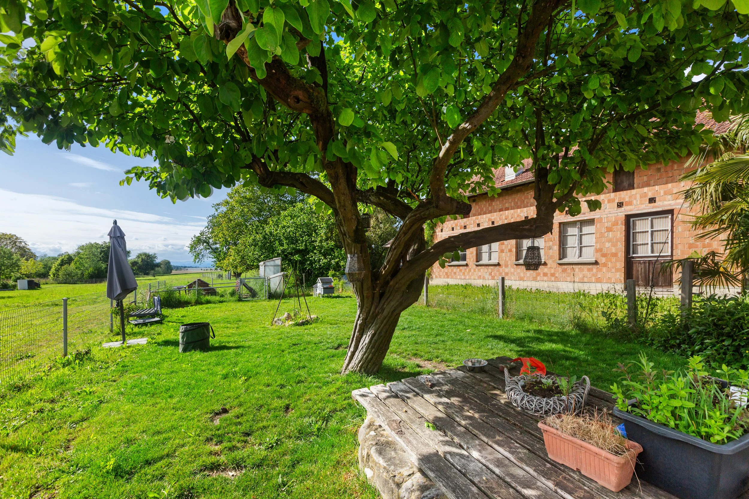 Garten