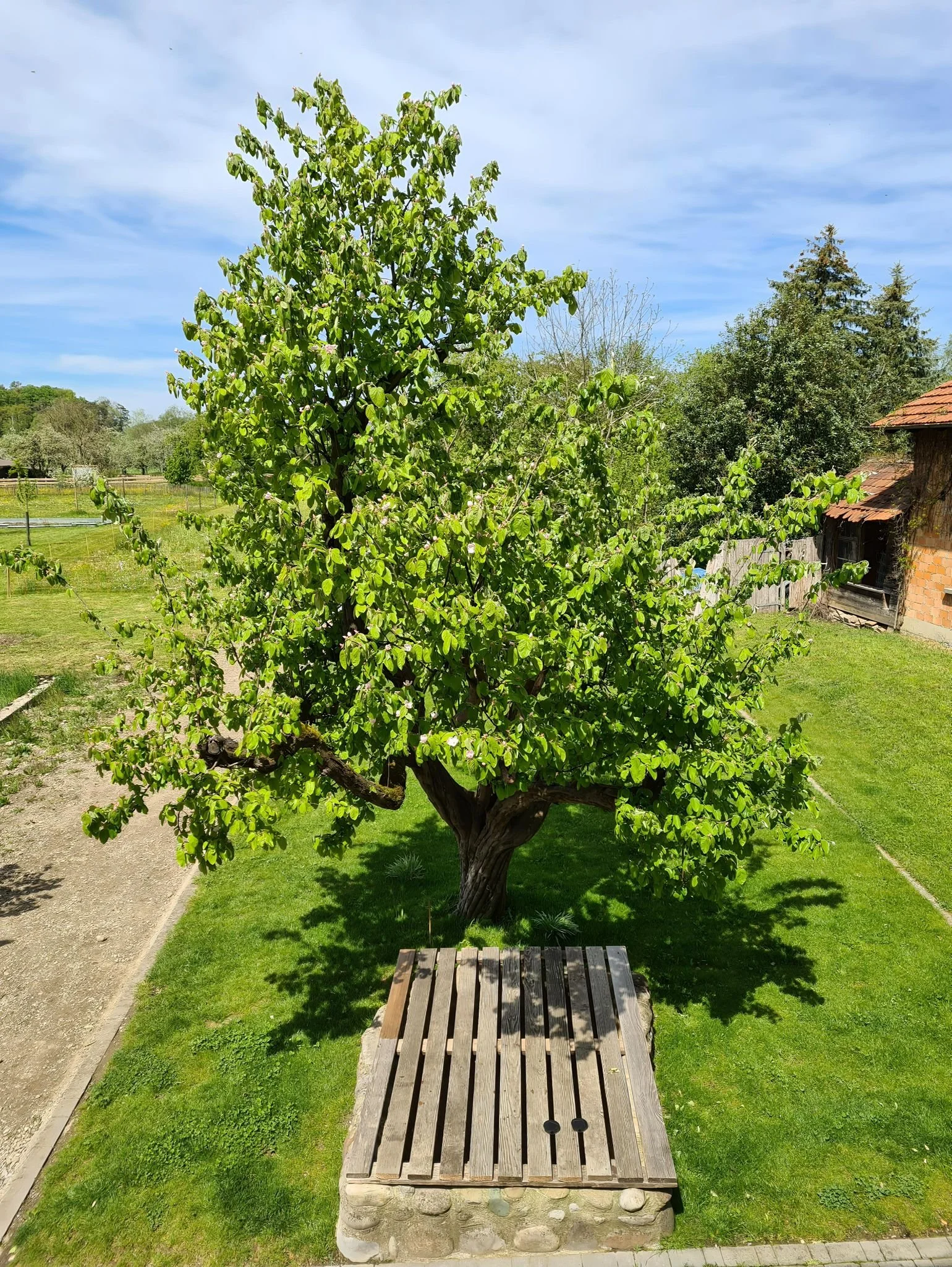 Garten