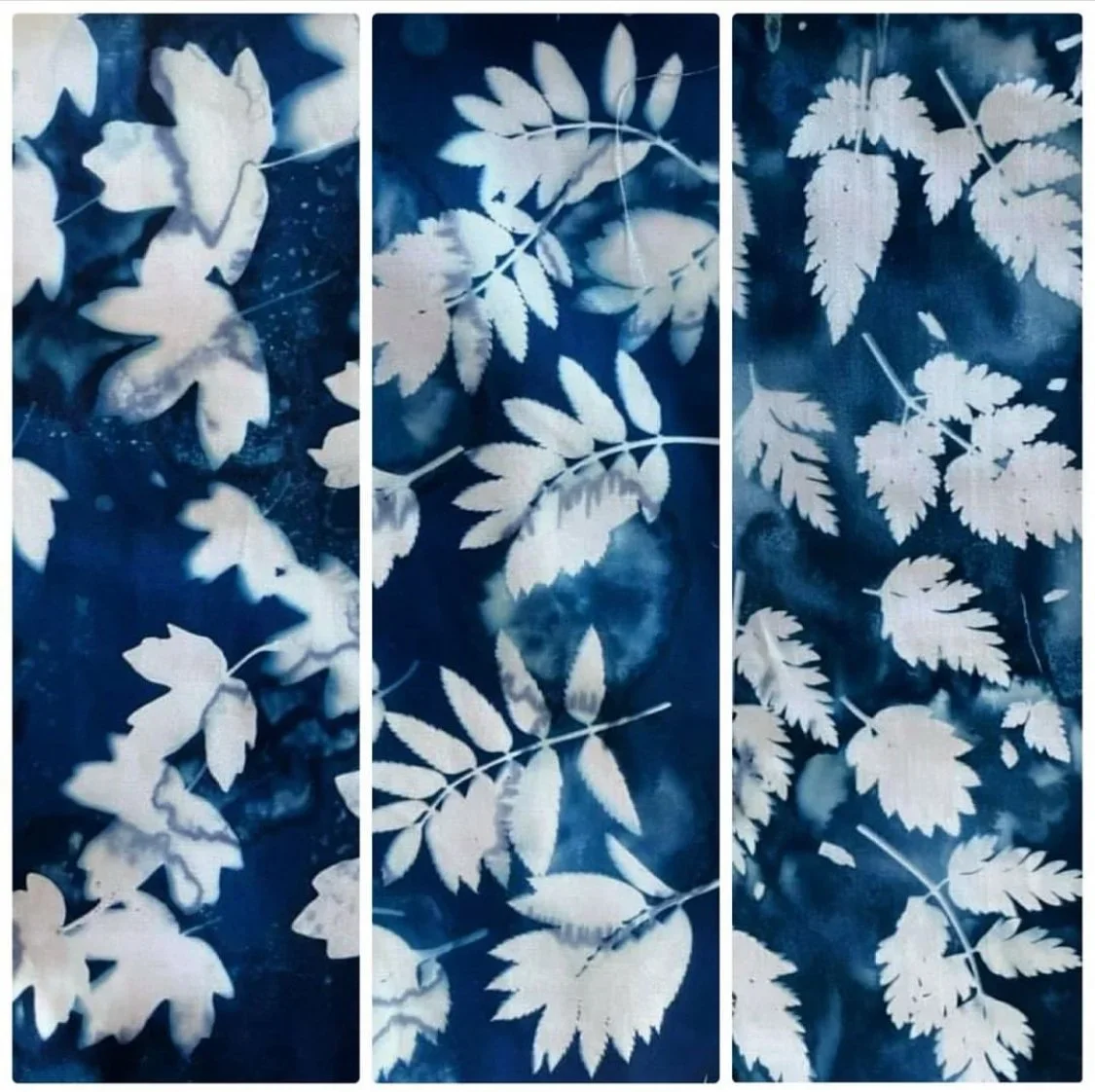 Cyanotype Botanical Workshop