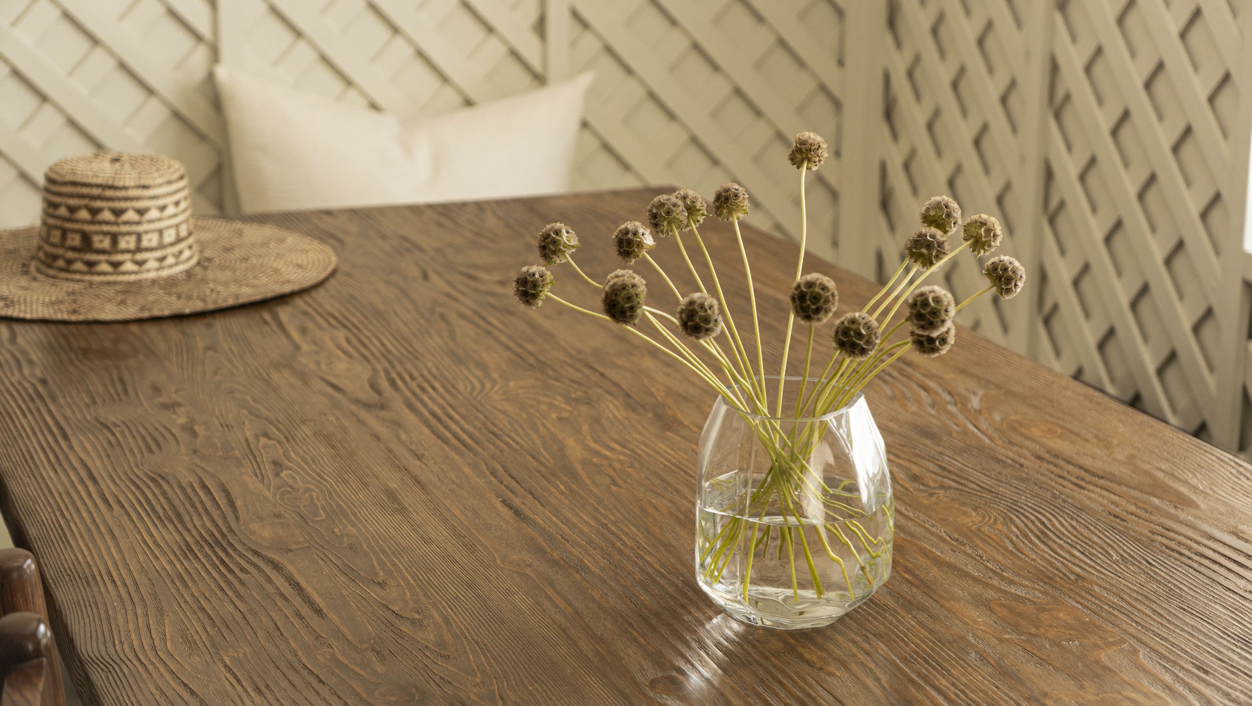 Scabiosa .jpg