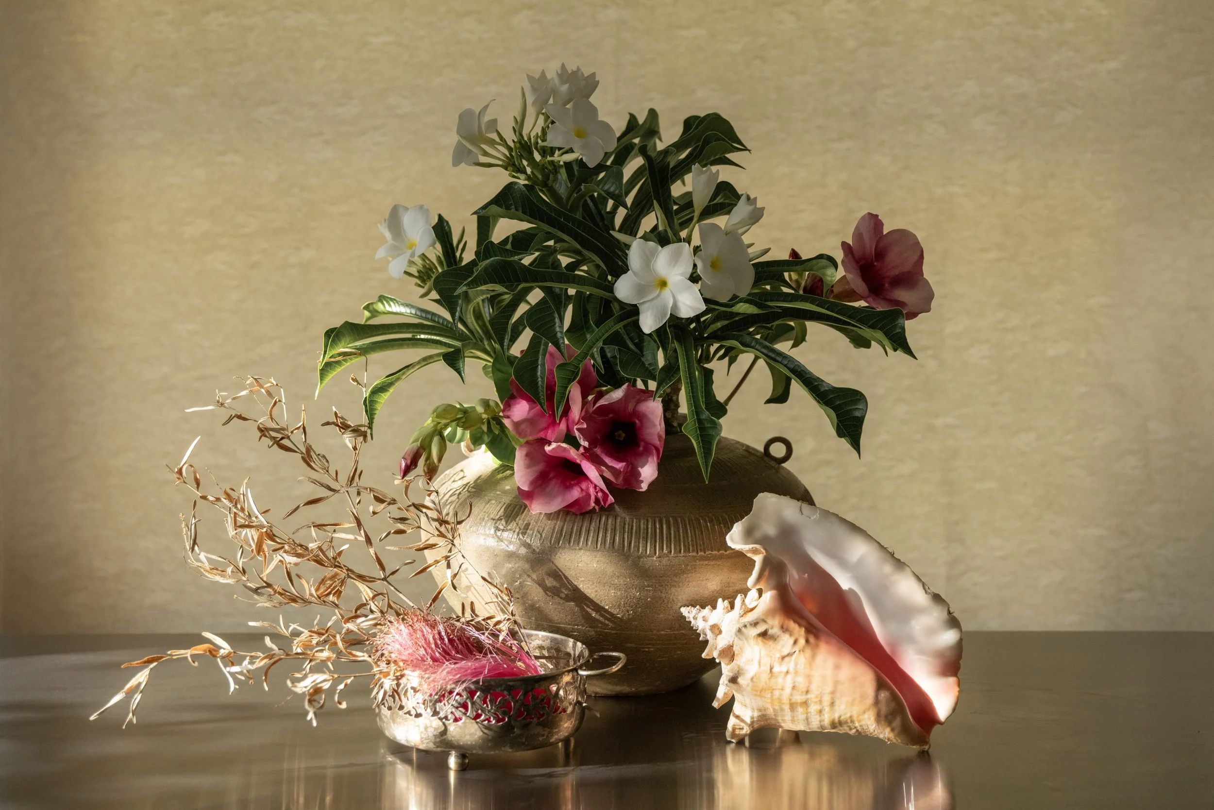 Still_Life.jpg