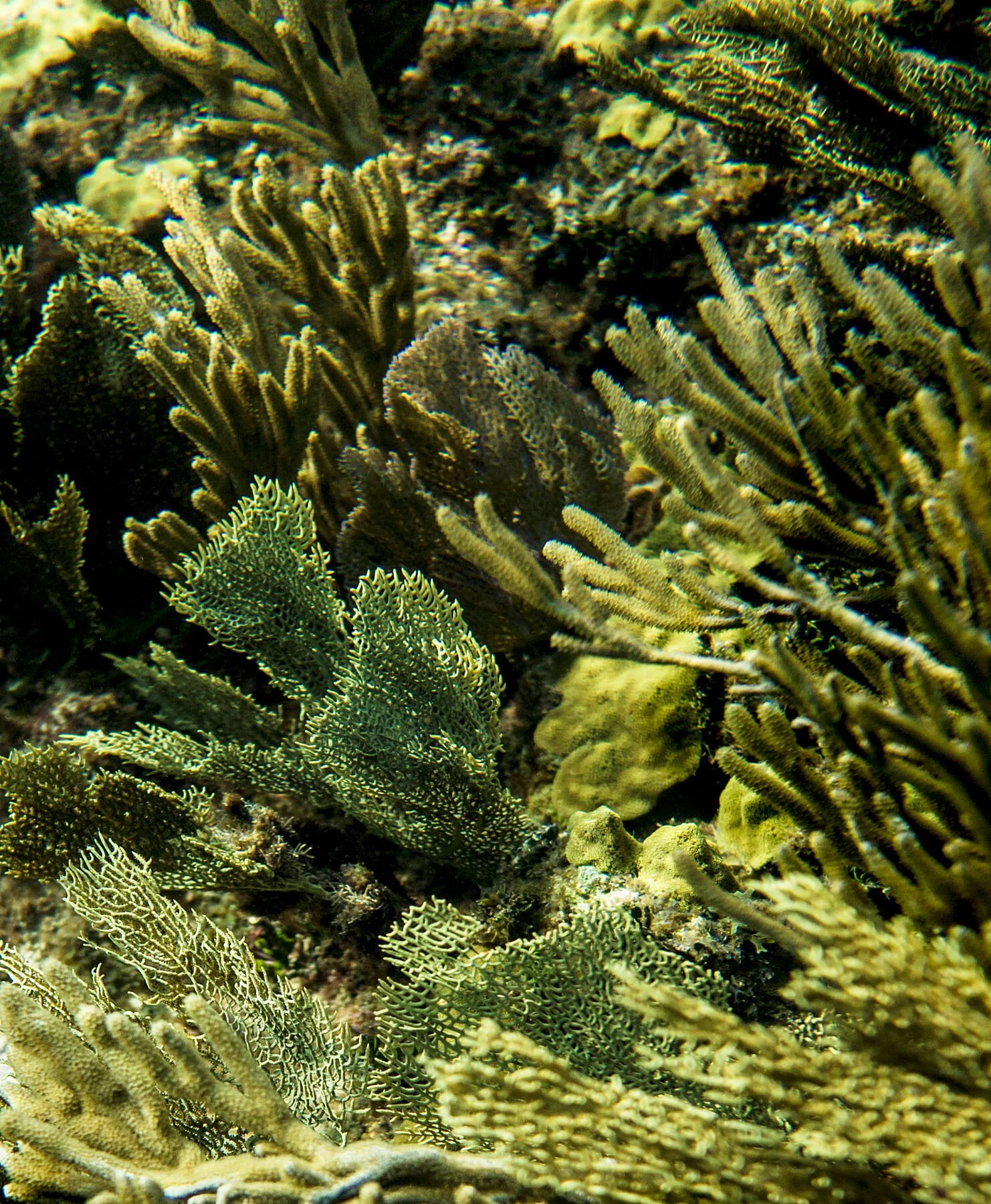 Cayman Islands, 2018