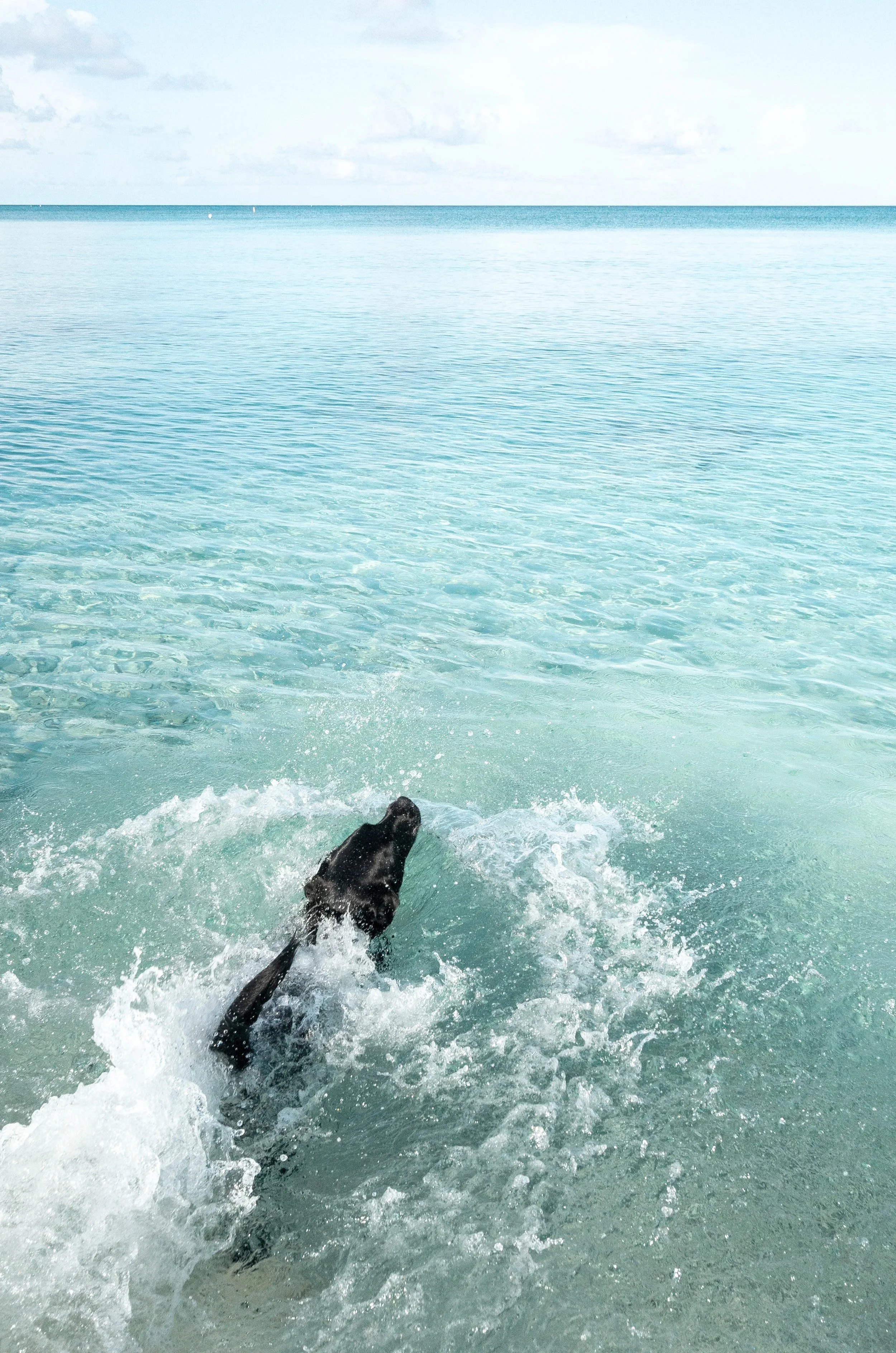 Cayman Islands, 2019