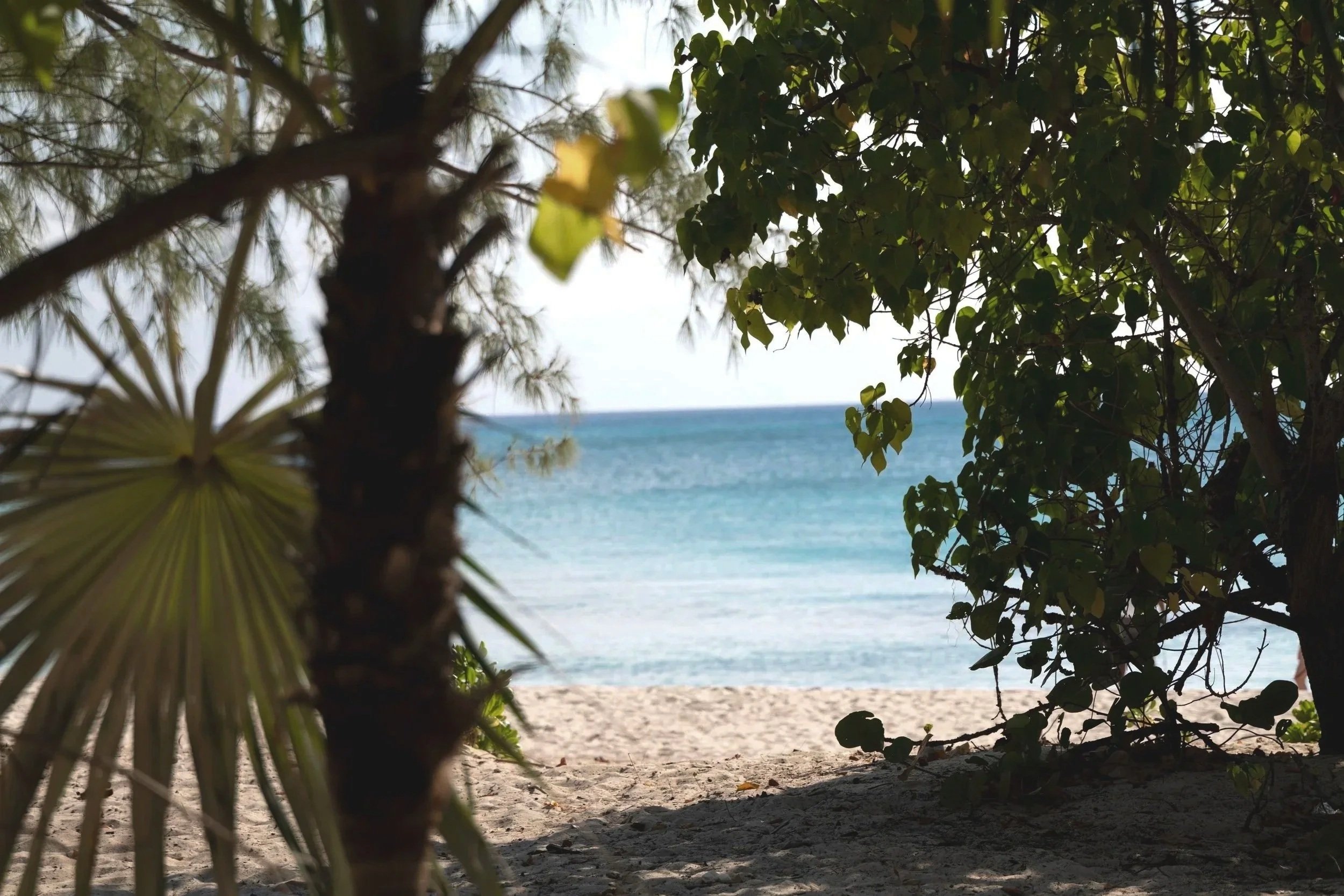 Grand Cayman, Cayman Islands 2025