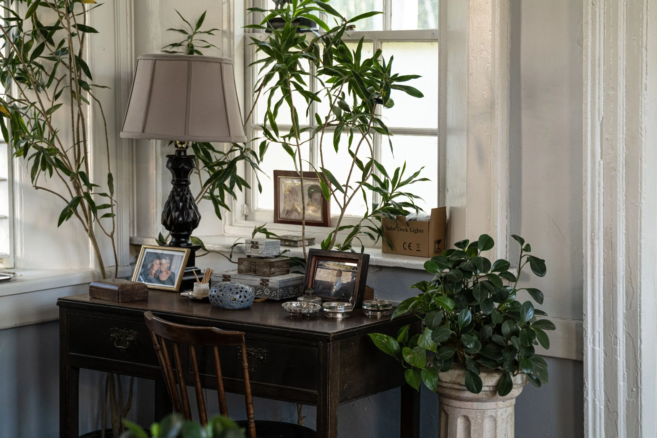 Good Hope Jamaica, 2025