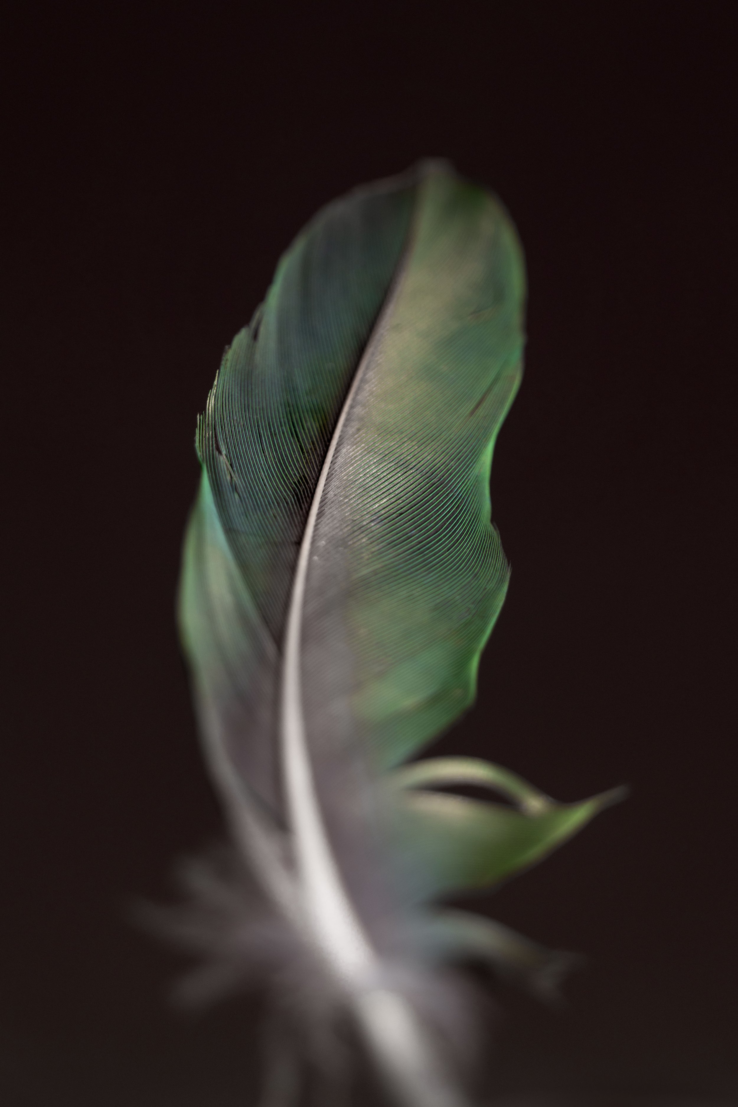 Cayman Islands, 2025