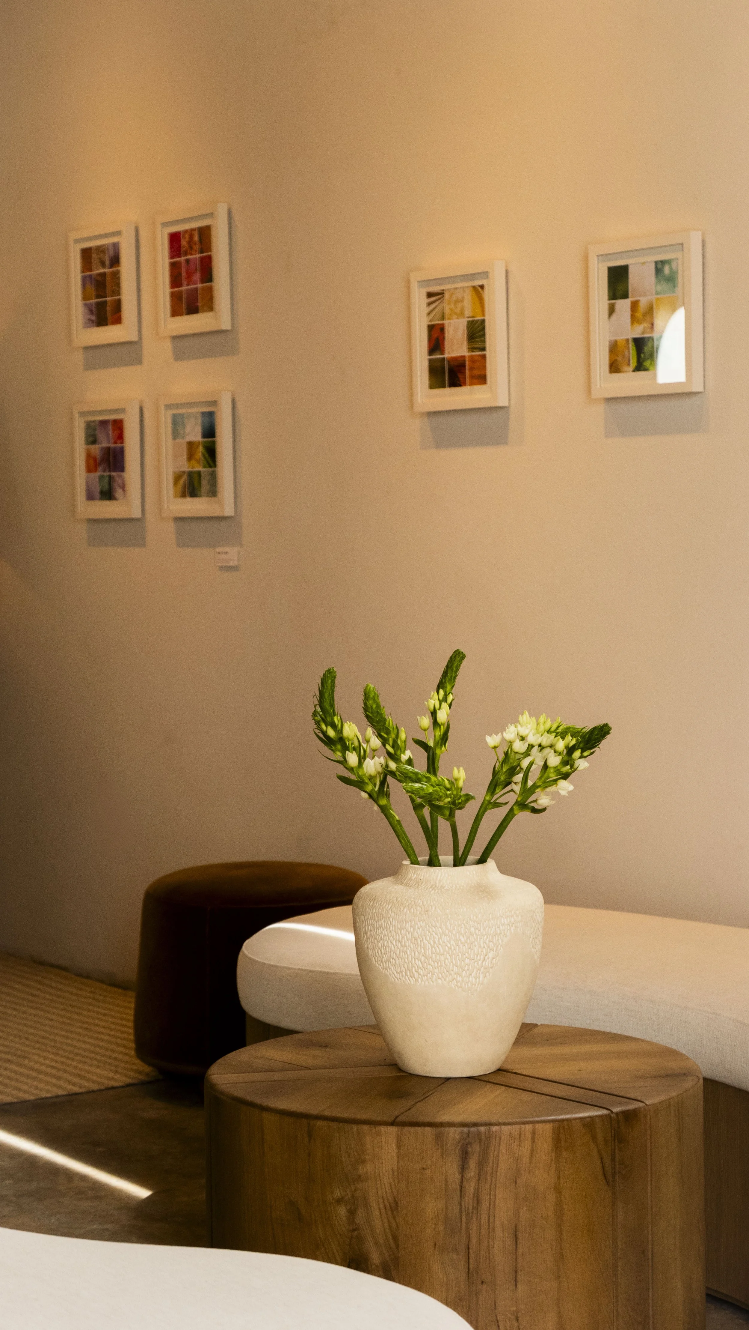 Elation Gallery_1.jpg