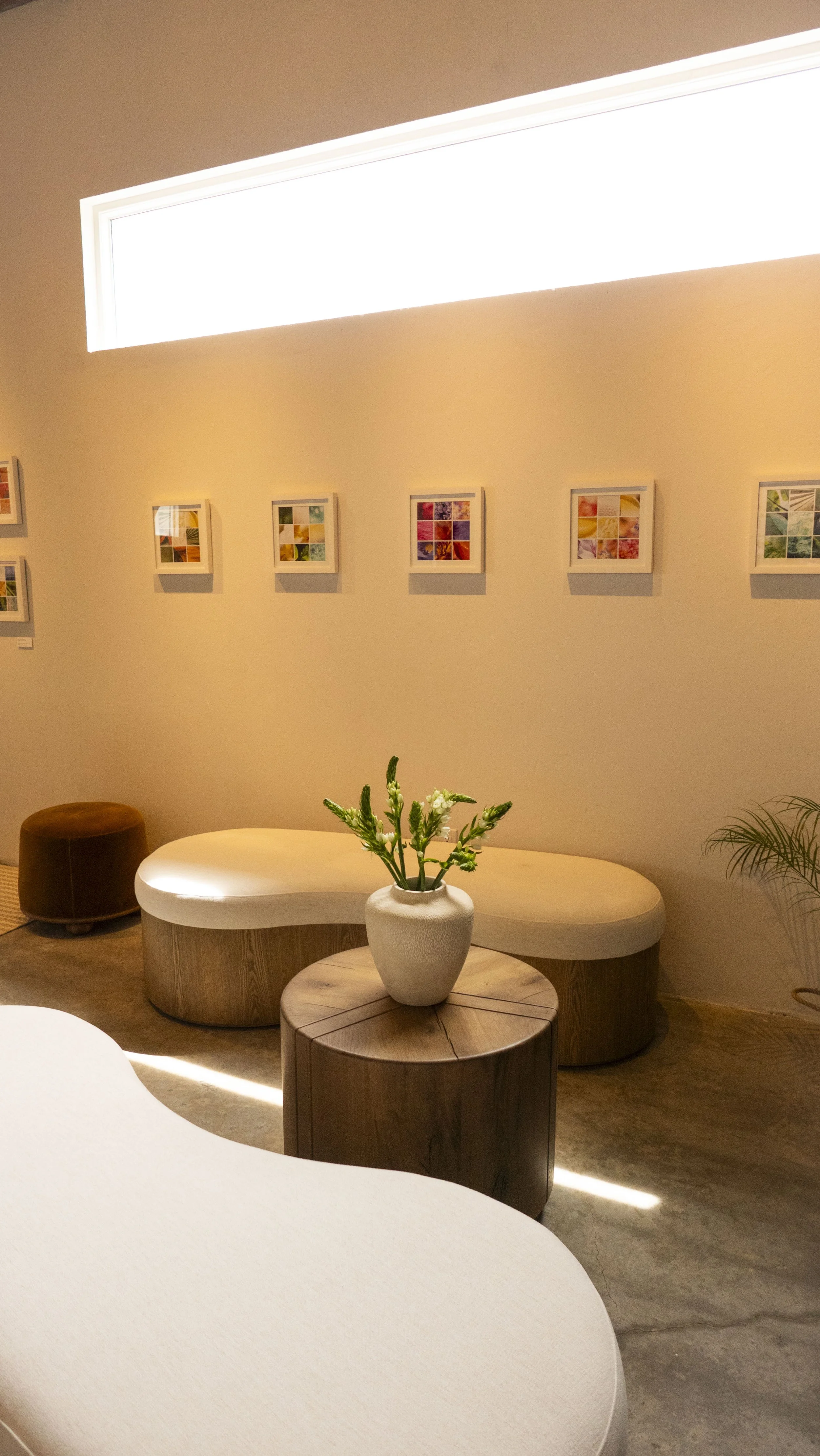 Elation - Gallery Set Up.jpg