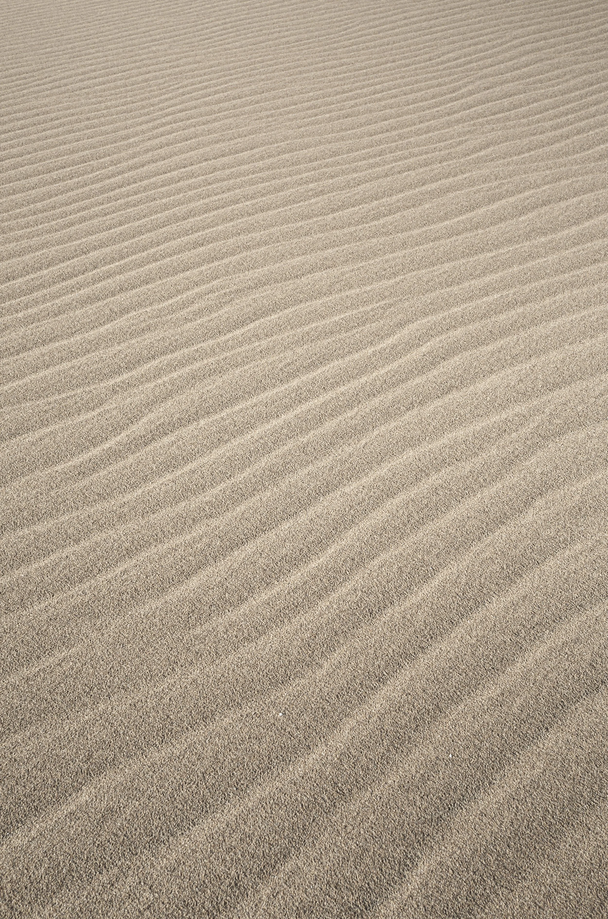 Cabo_Polonio_Sand_Dune_2.jpg