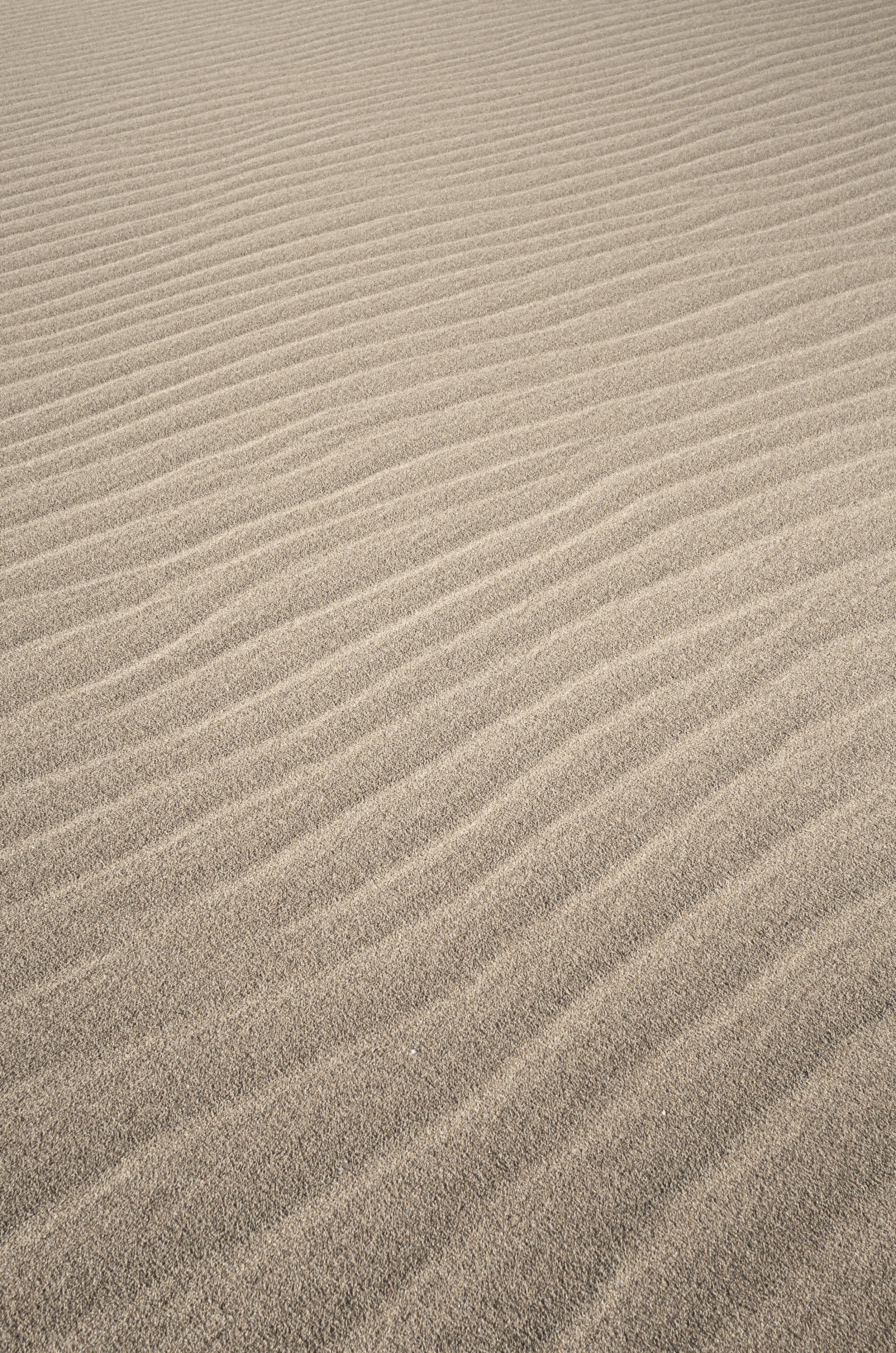 Close-up of sand dunes with wind-created ripples.