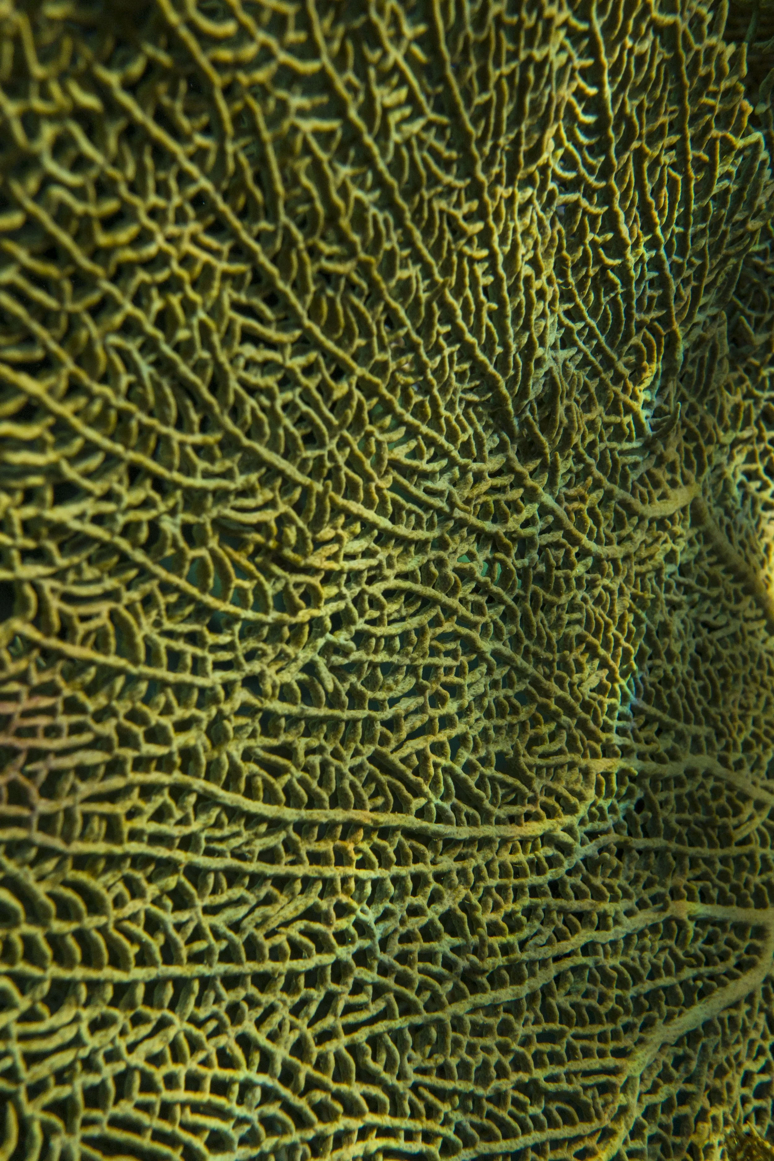 Cayman Islands, 2018