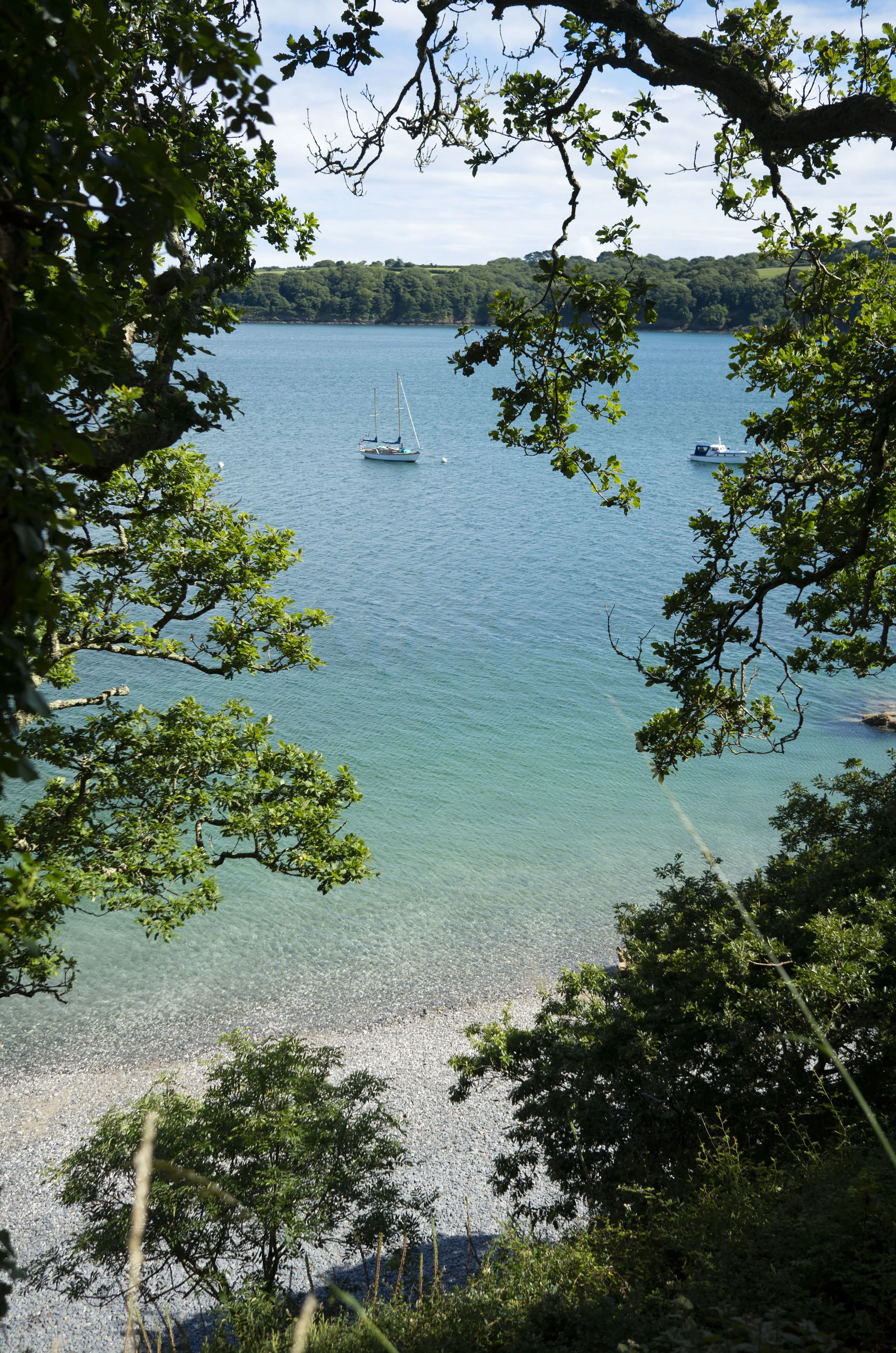 Grebe_Beach_6.jpg