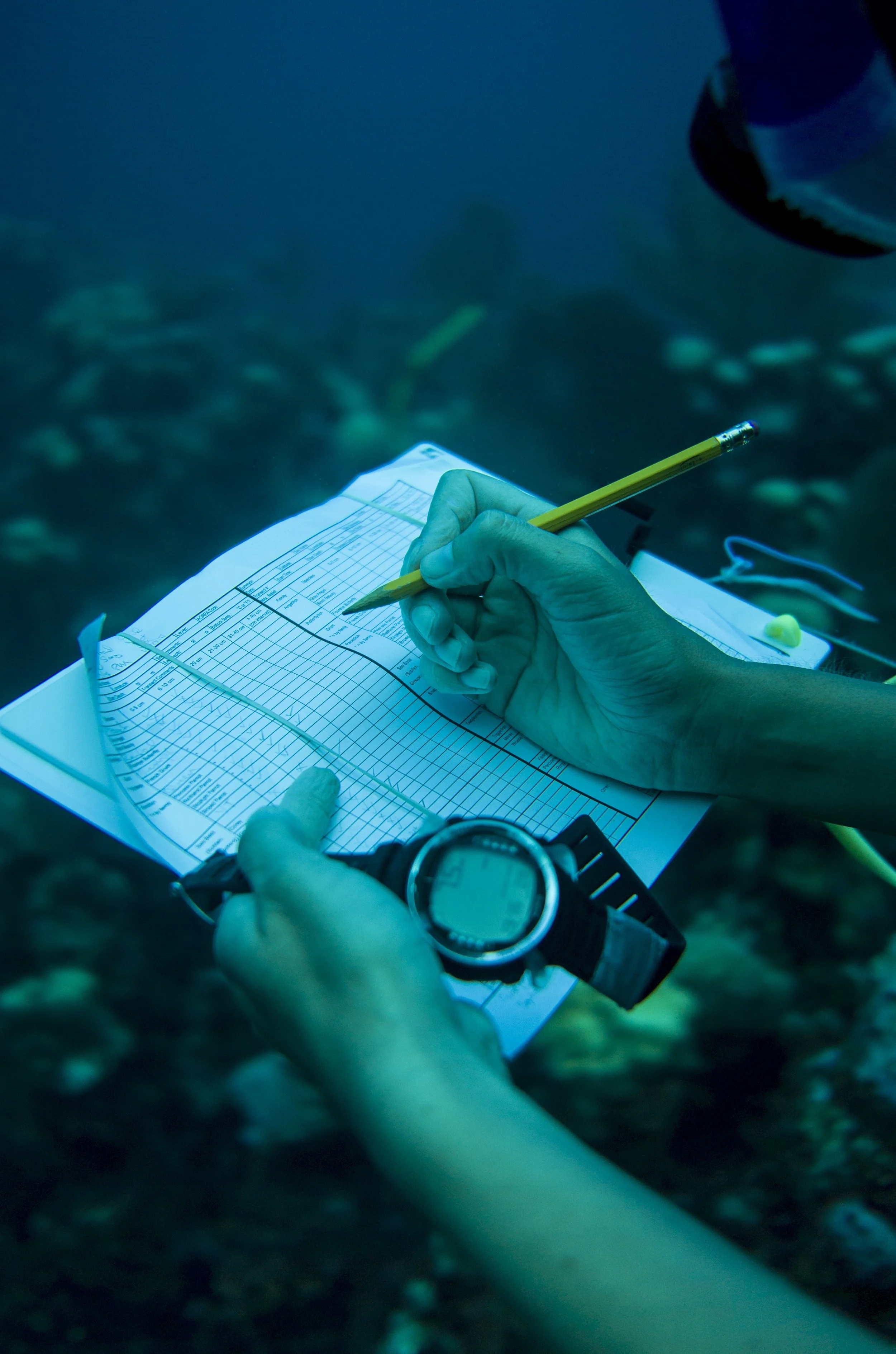 Claire_seaweed_CCMI_project__29.jpg