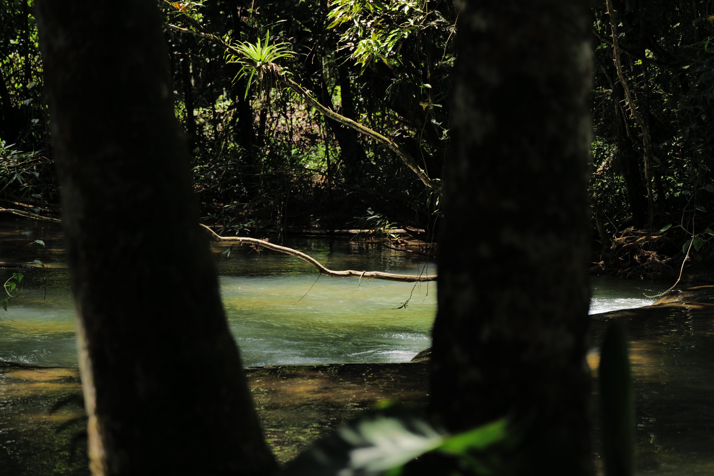 YS Falls, Jamaica 2025