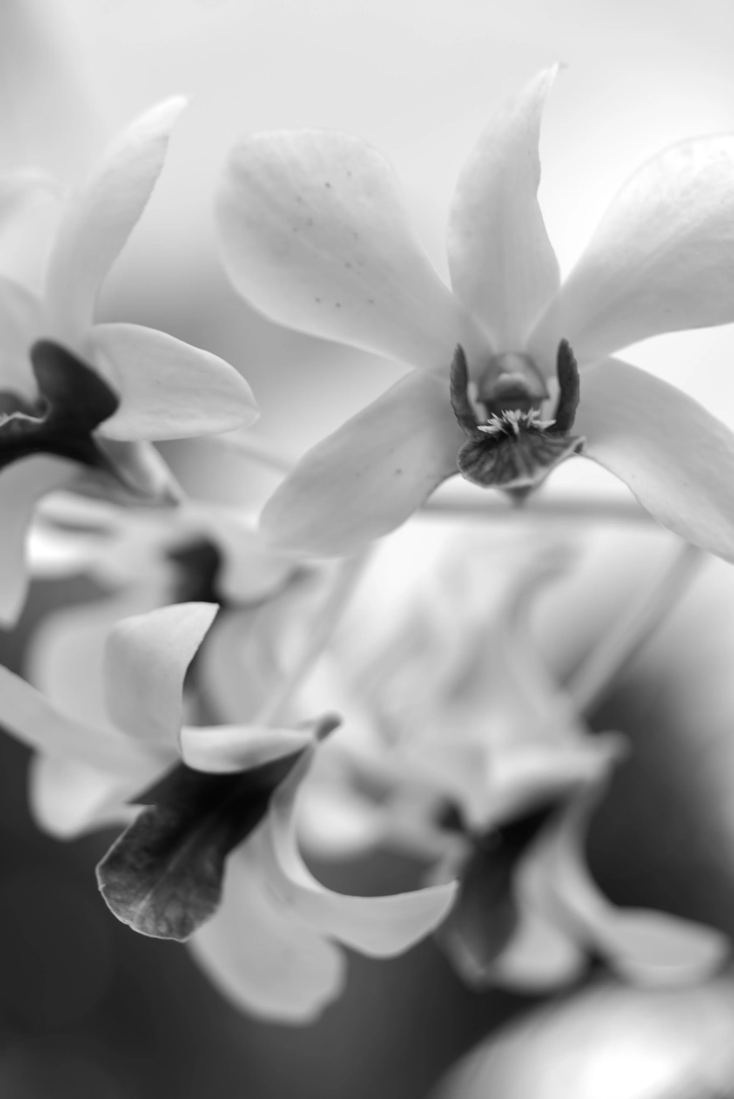 Montego Bay, Jamaica 2025