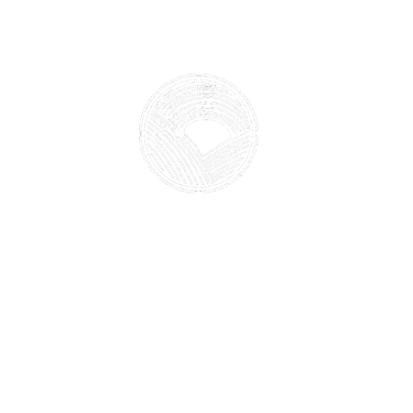 rise therapy center