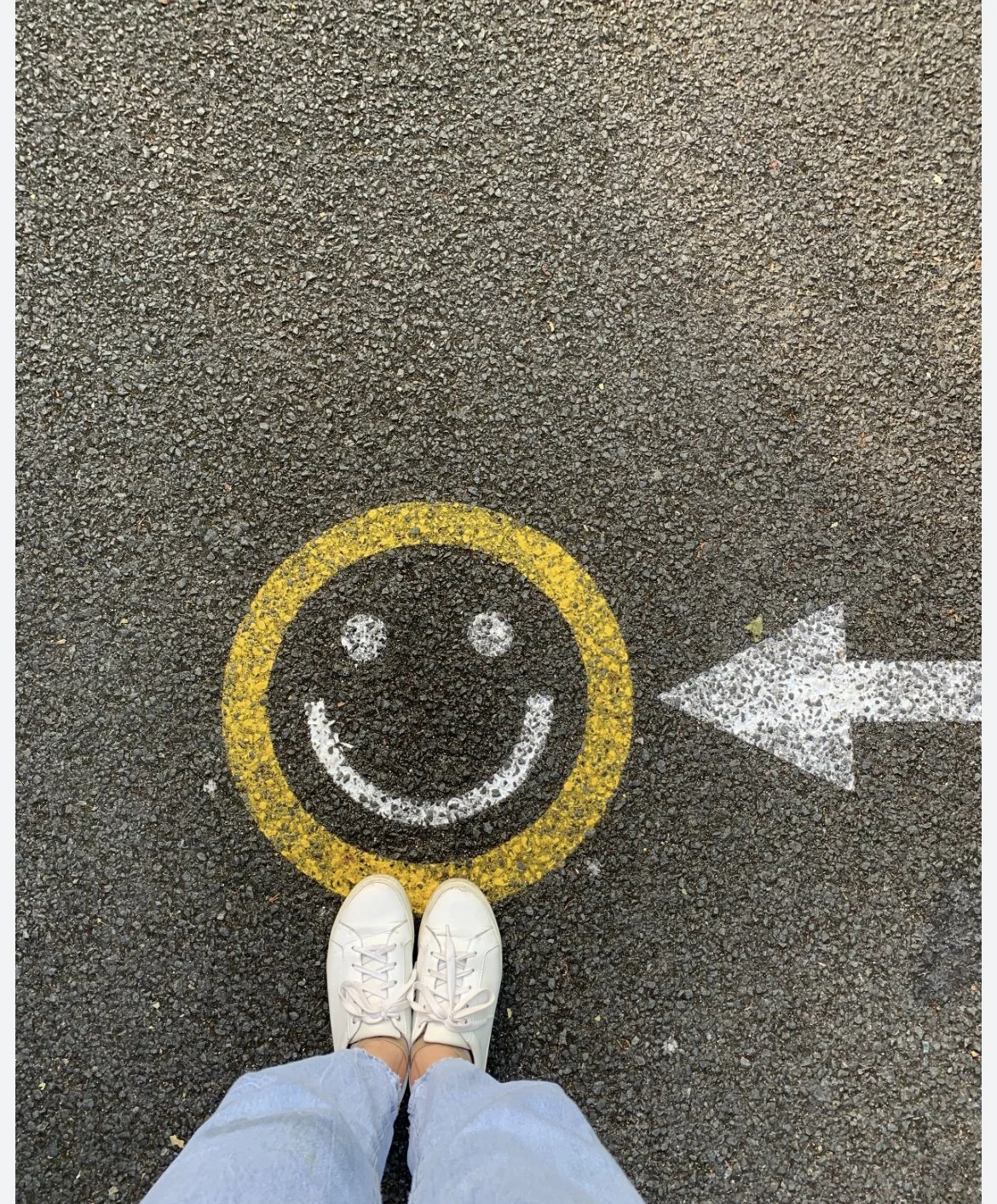 Beyond Fight and Flight