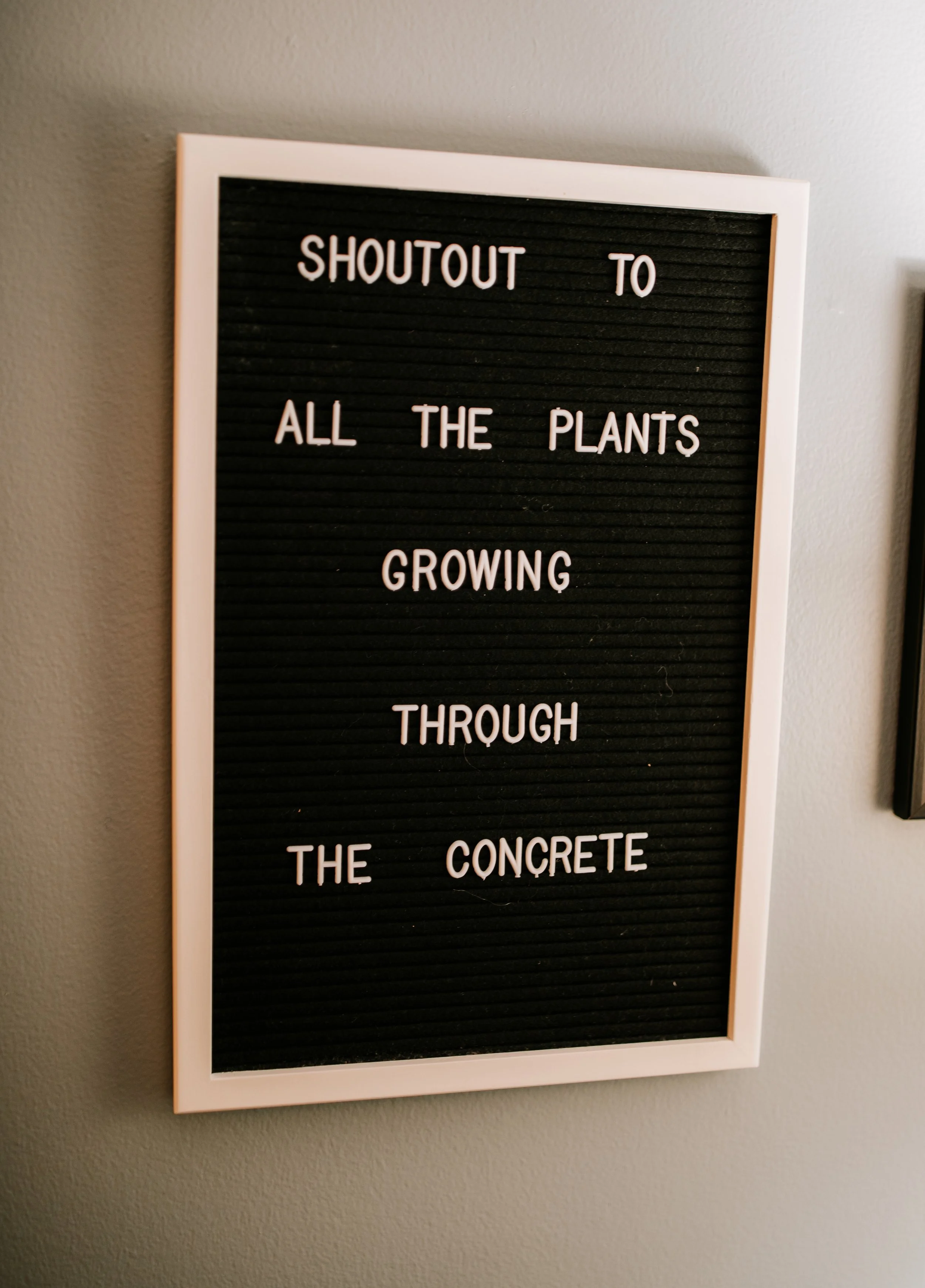 Cherish Your Emotional World