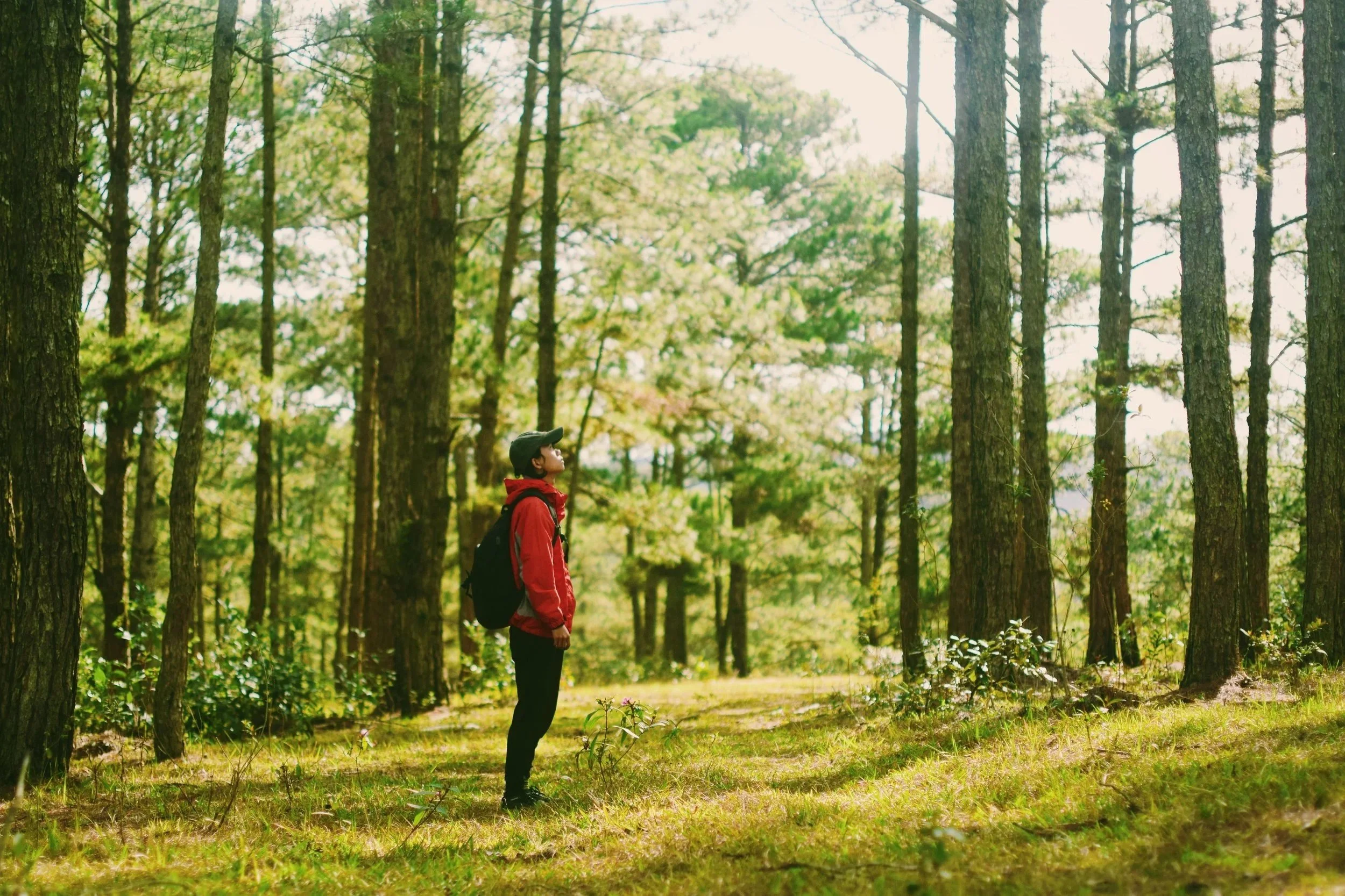 Learning to Be Present with Yourself&nbsp;