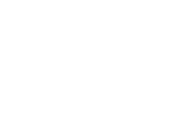 Merchandising Experience Word.png