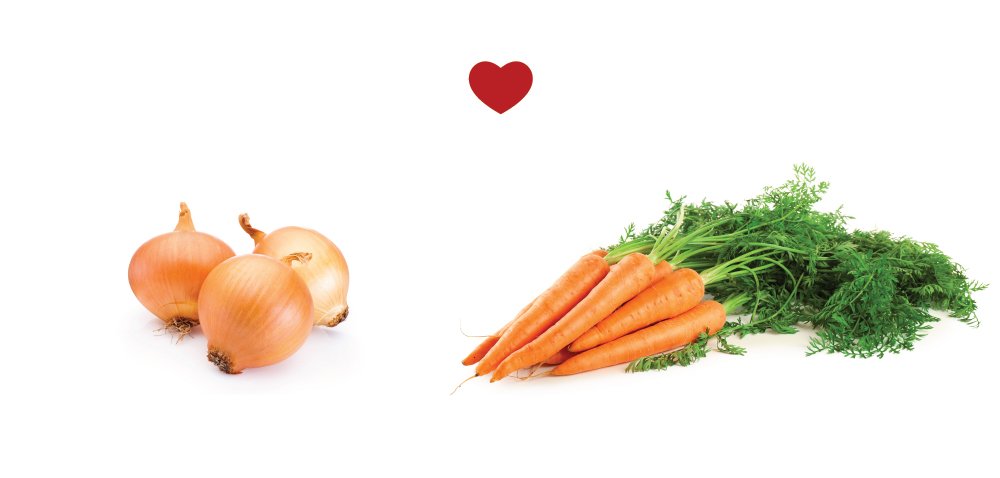 L'oignon (ou l'échalote, l'ail et le poireau) repousse la mouche de la carotte, et vice-versa!