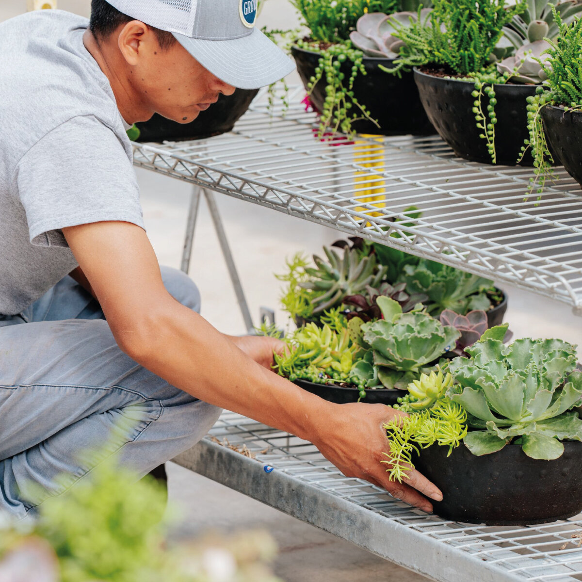 🌿 Notre &eacute;quipe s'affaire &agrave; remplir le magasin avant le d&eacute;but du long weekend. 🌿
Venez nous visiter! 

7360, boul. Saint-Martin Ouest &agrave; Laval
Vendredi: 9h &agrave; 20h
Samedi: 8h30 &agrave; 17h
Dimanche: 9h &agrave; 17h

