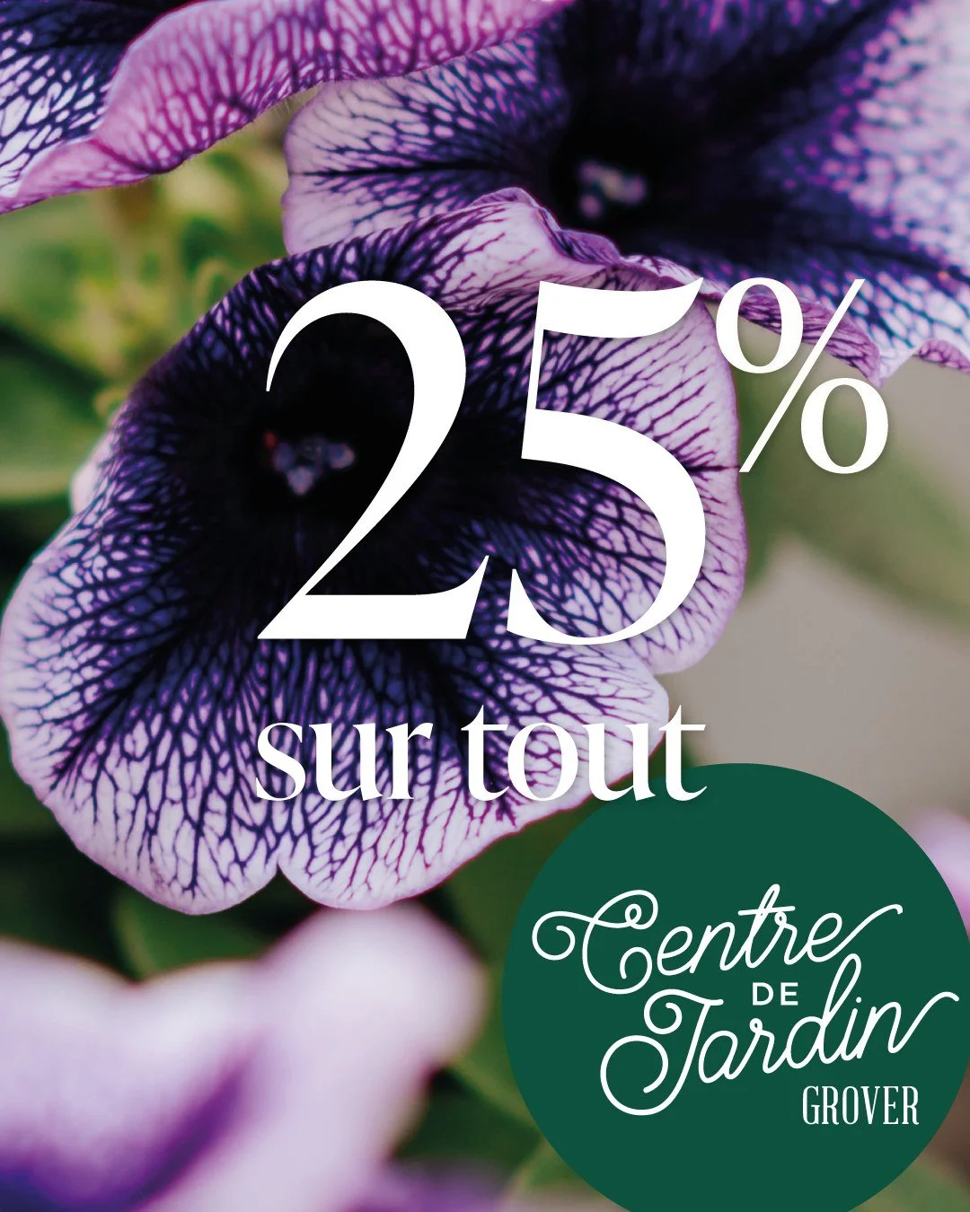 🏷️ GRANDE NOUVELLE &mdash; 25 % de rabais sur TOUT en magasin!*

C'est le moment de vous g&acirc;ter (ou de g&acirc;ter quelqu'un que vous aimez). 🌿

Plantes, arrangements, pots, accessoires, terreau &mdash; tout est &agrave; 25 % de rabais en maga
