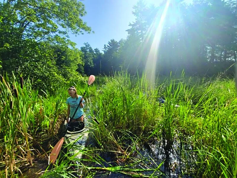 CLA volunteer surveying a shoreline.