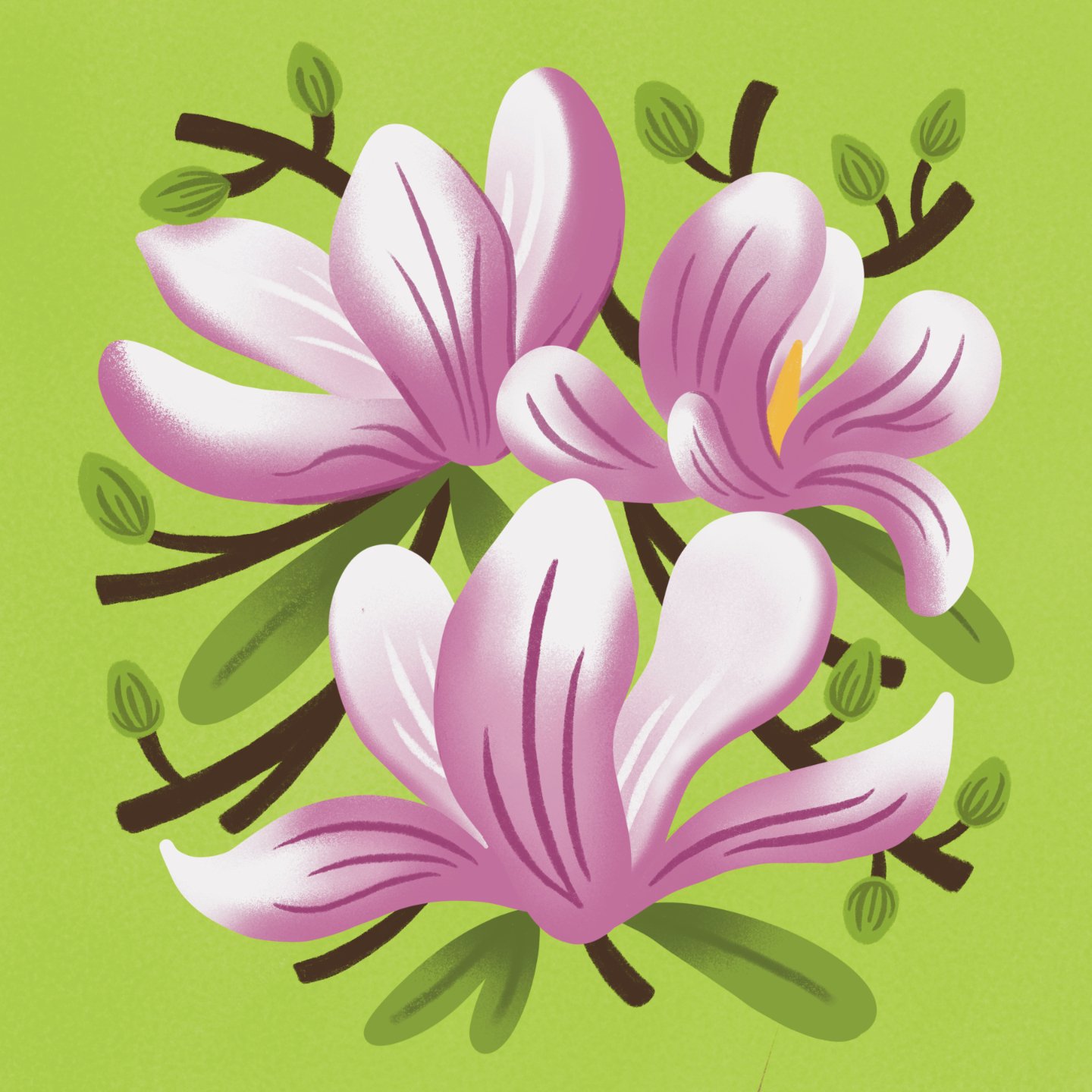 Happy Friday! Our beautiful magnolia tree bloomed last month and I finally finished up my illustration between client work. 

For #mixitupmay24 I chose to mix together chartreuse, playful, and blooms. 

Hosted by:
@iamgiagraham
@byerikewithak
@heyali
