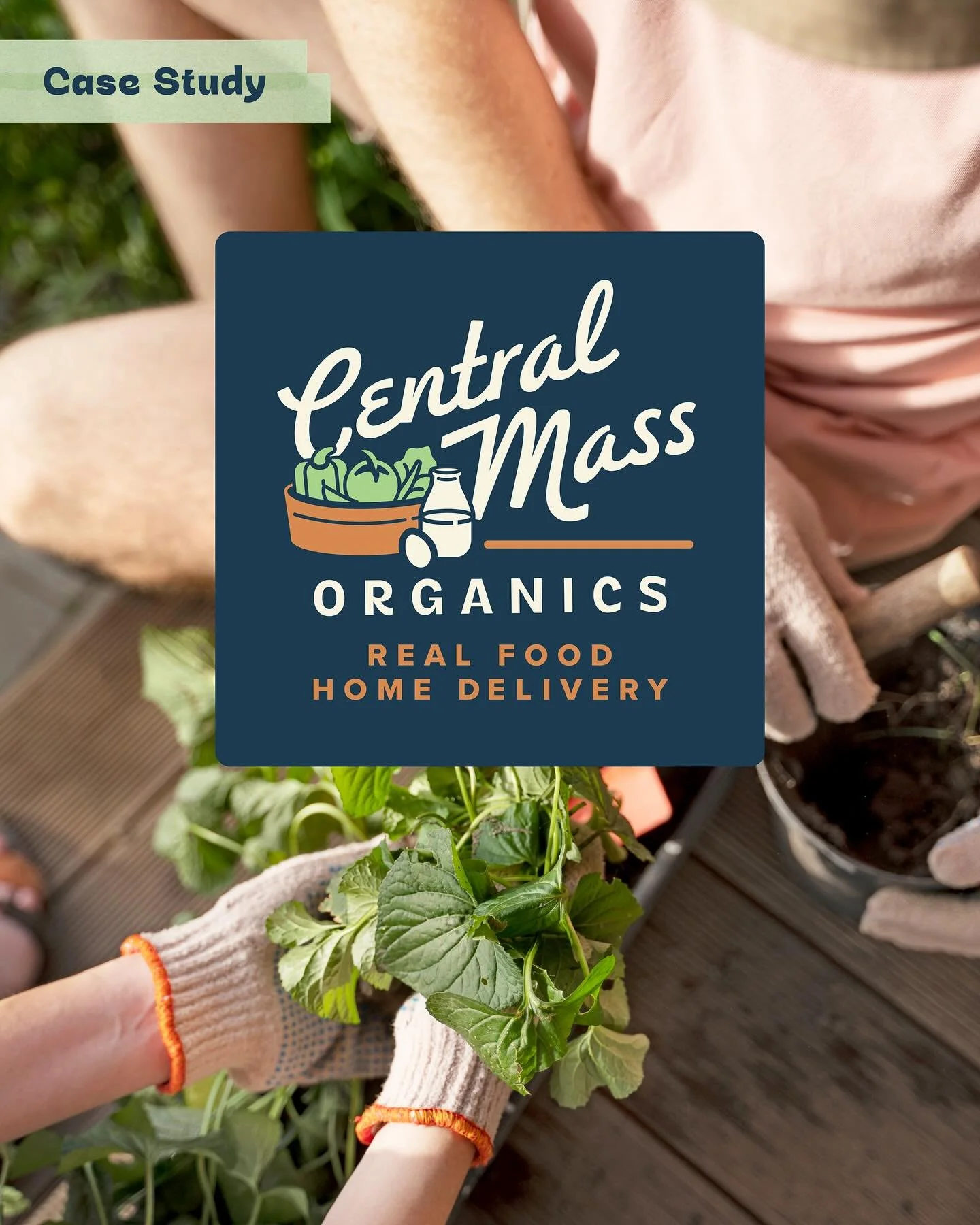 @grapevinelocalfood brought me in to help their client level up their branding with something cleaner, more modern, and still full of charm. The goal? Create a logo and visual identity that feels approachable, a little vintage, and totally rooted in 