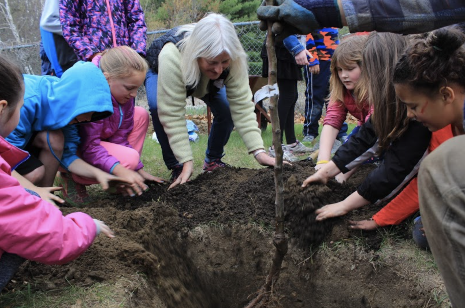 group-tree-planting.png