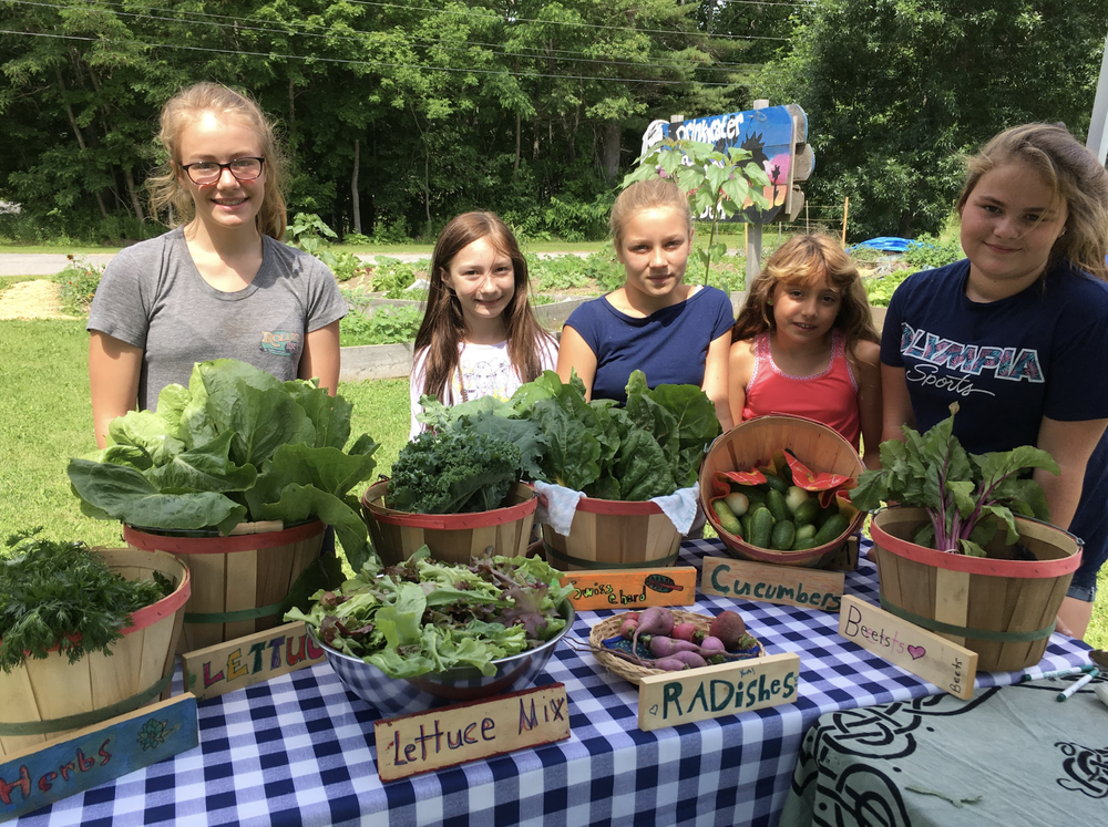 Quimby Family Foundation Our Focus — Quimby Family Foundation
