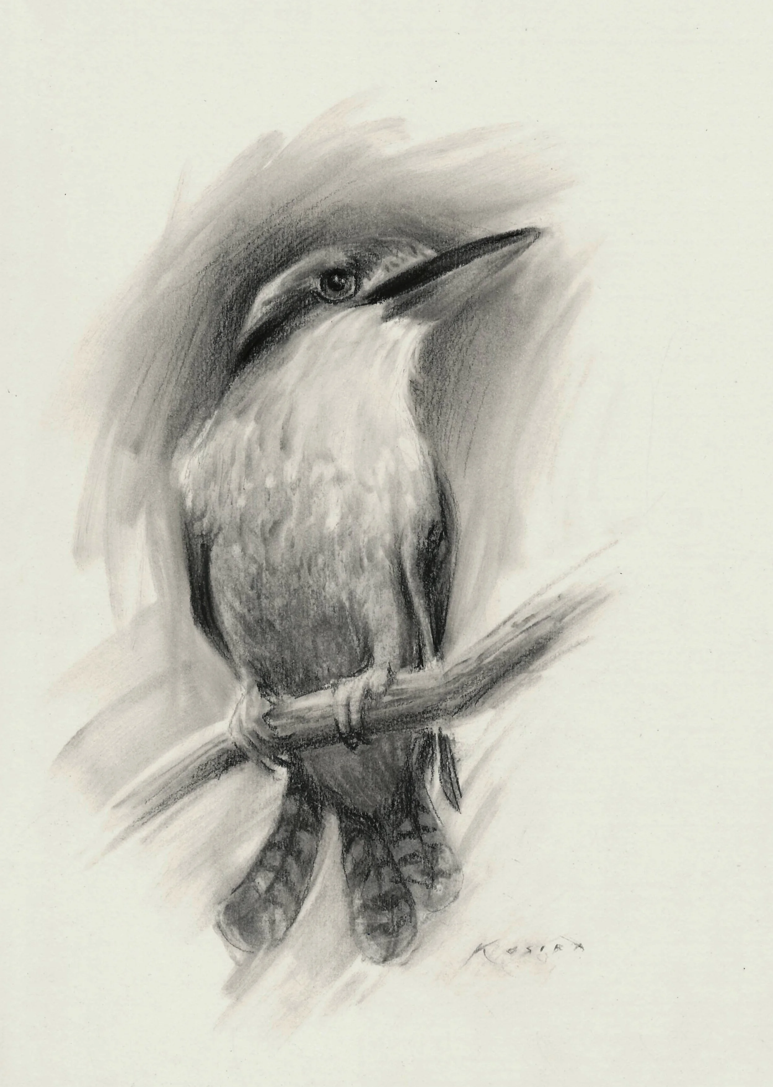 Drawing as an Act of Deep Appreciation