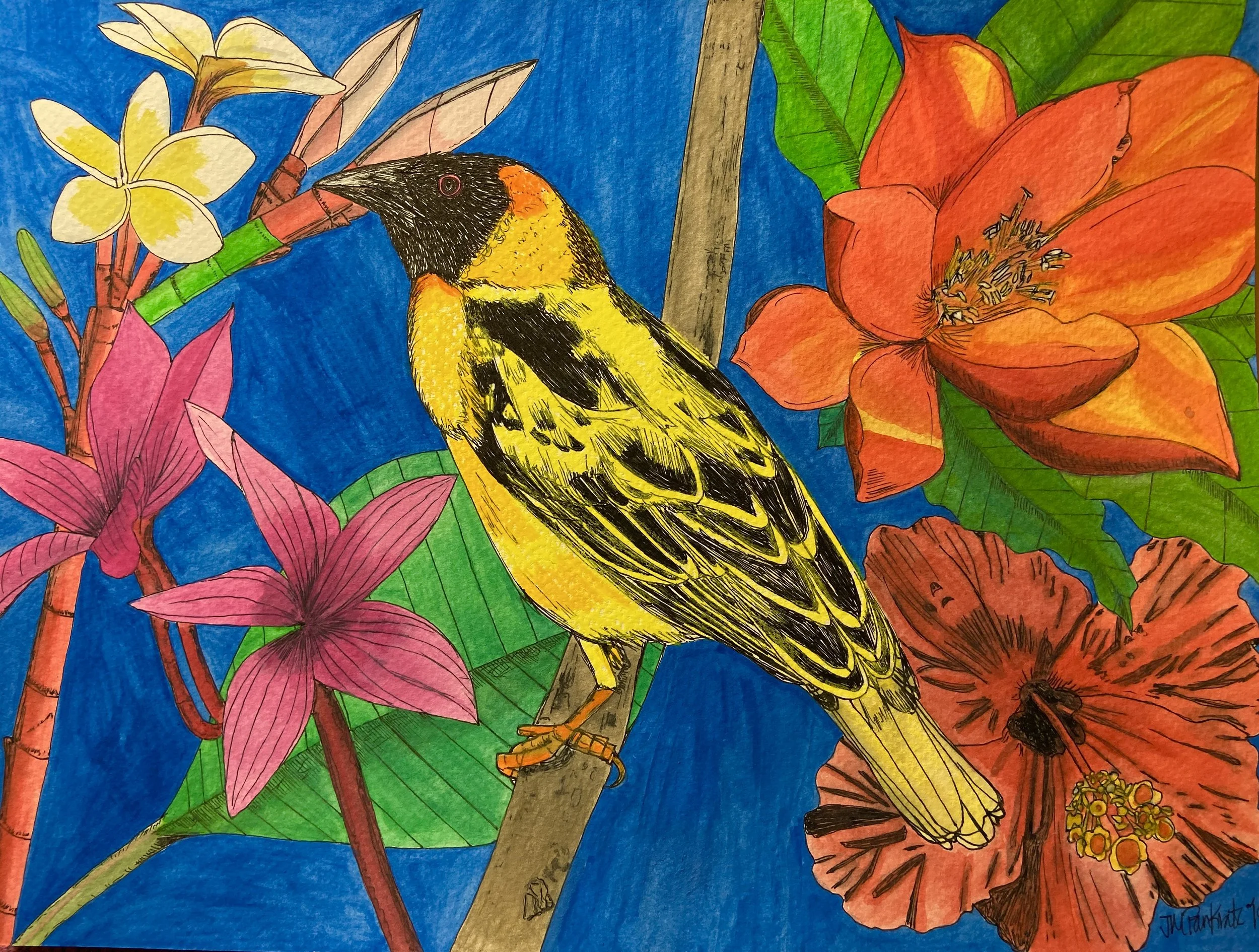 "Village Weaver", 9 x 12, watercolor and pen, SOLD