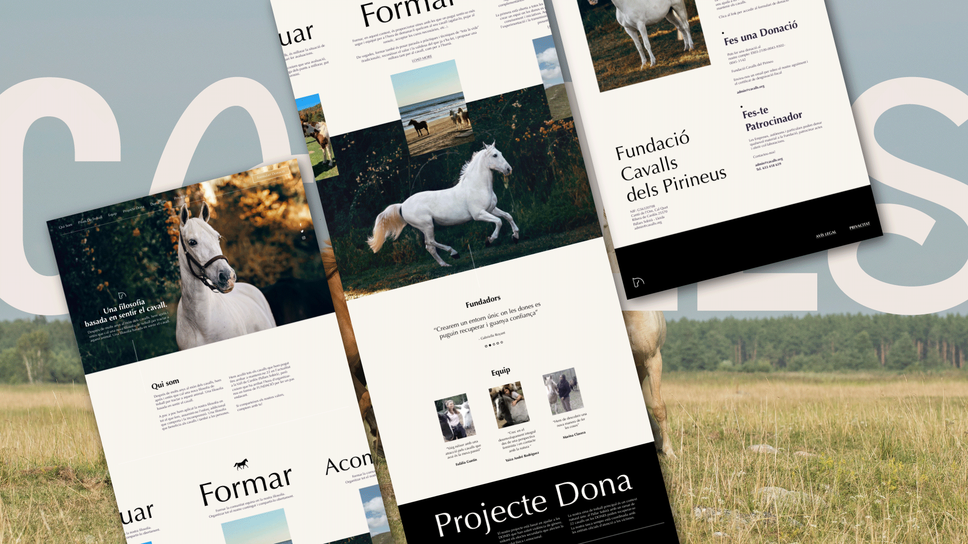 Cavills Website Design