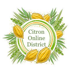 Citron Online NSDA District